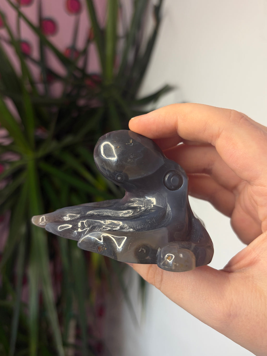 Mozambique Agate Octopus