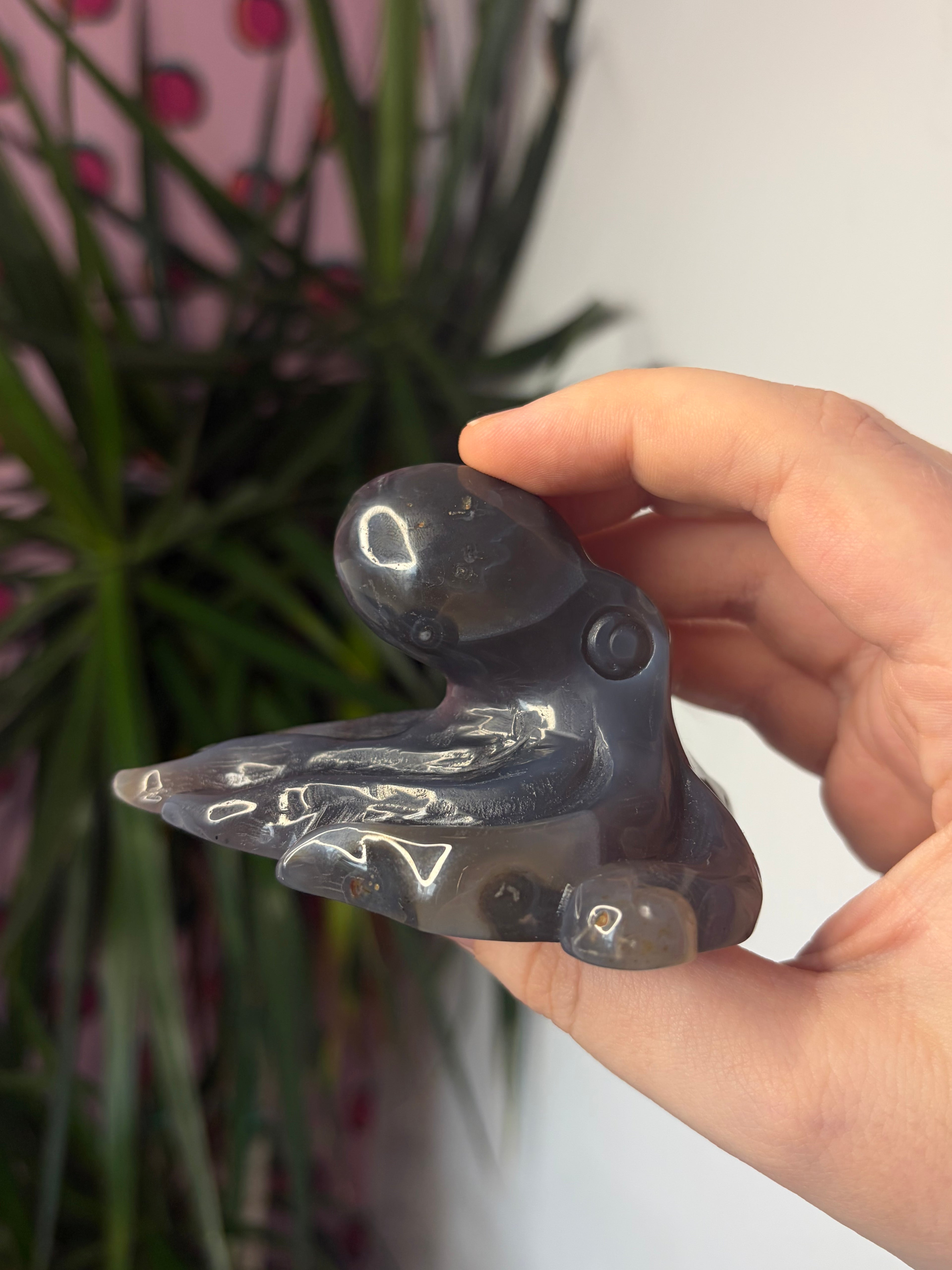 Mozambique Agate Octopus