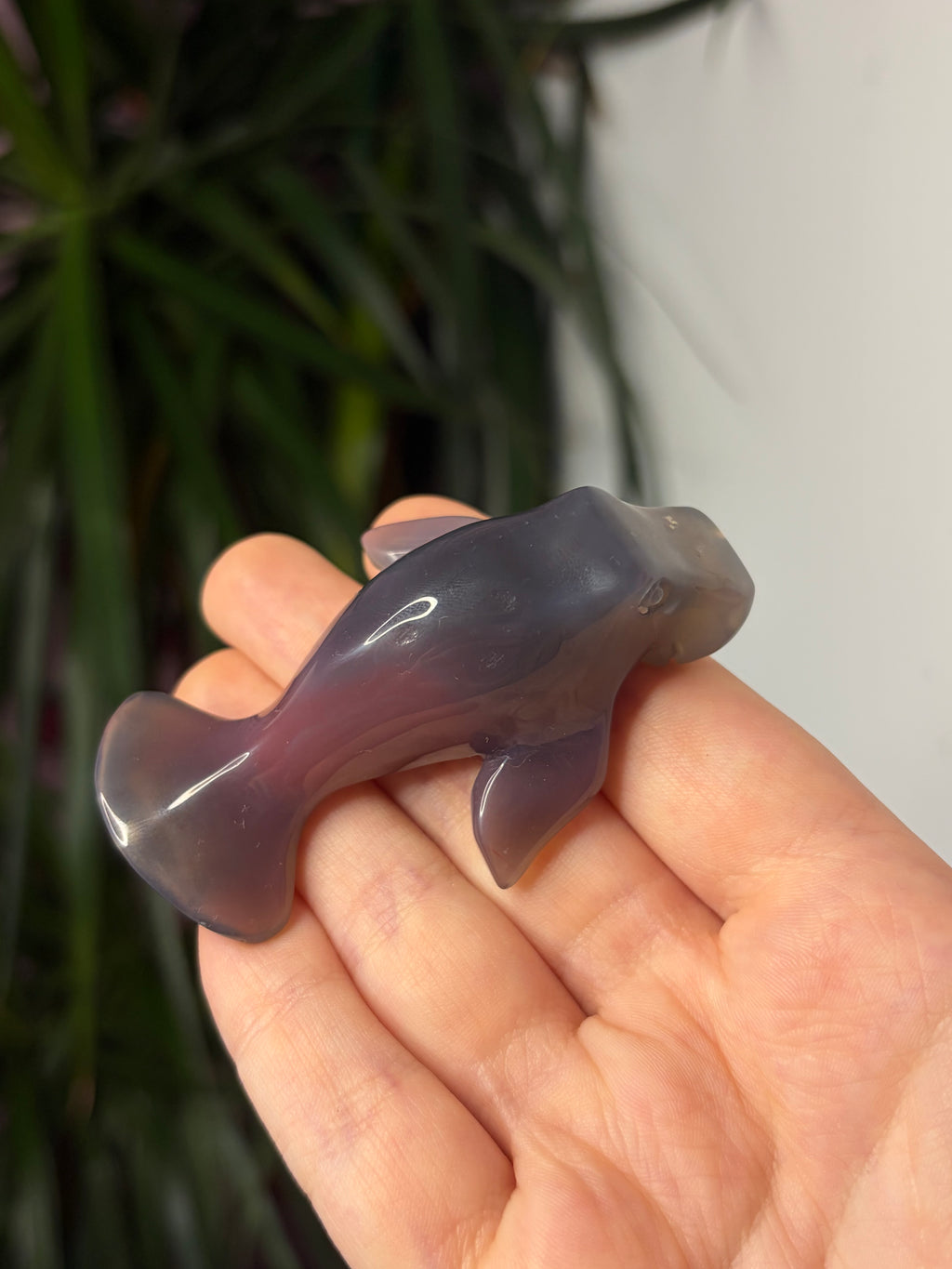Mozambique Agate Manatee