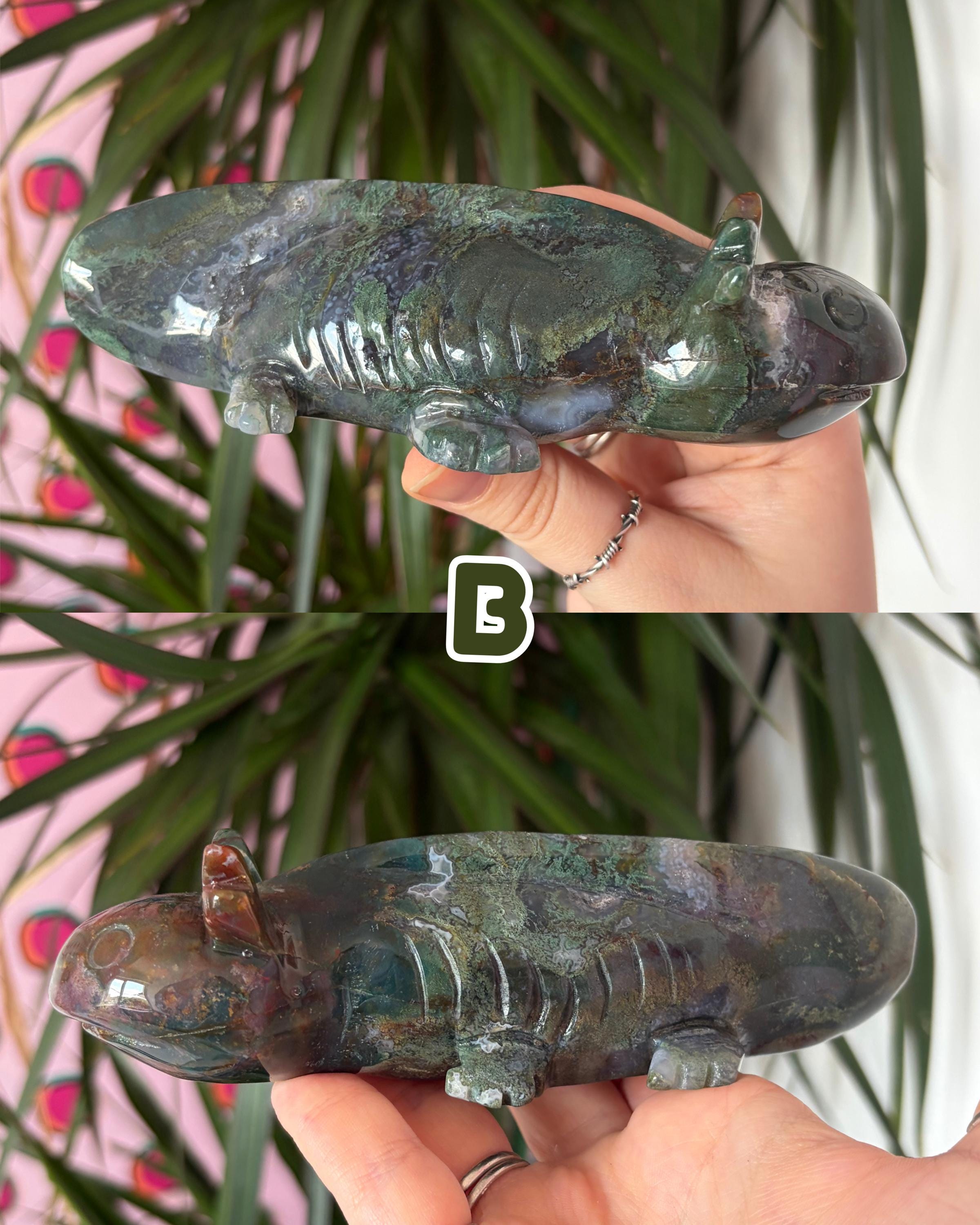 Moss Agate Axolotls