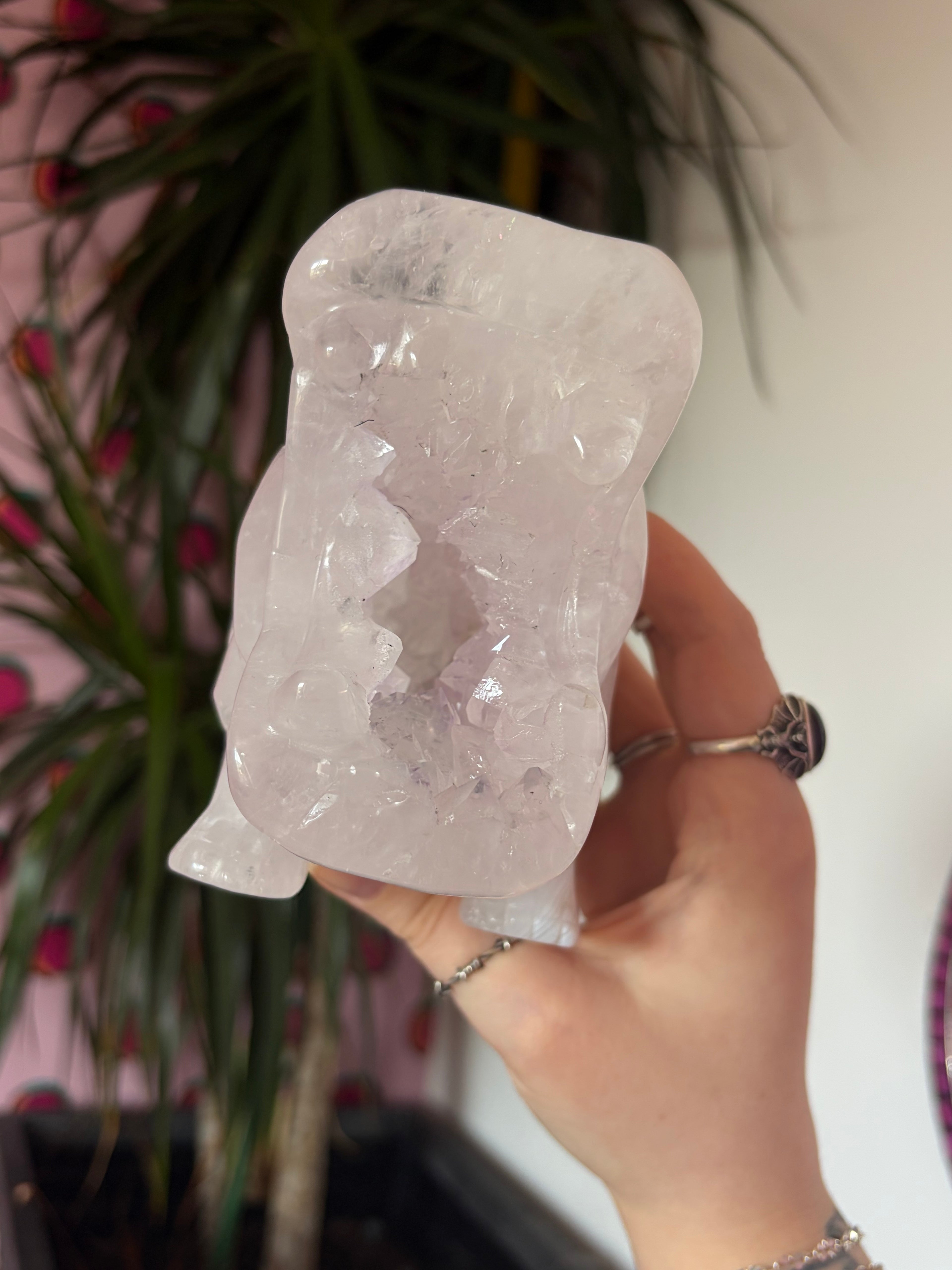 Druzy Agate Hippo