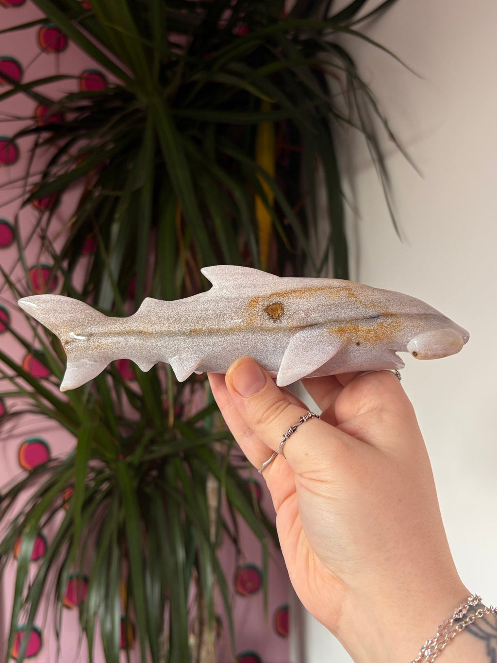 Ocean Jasper hammerhead shark