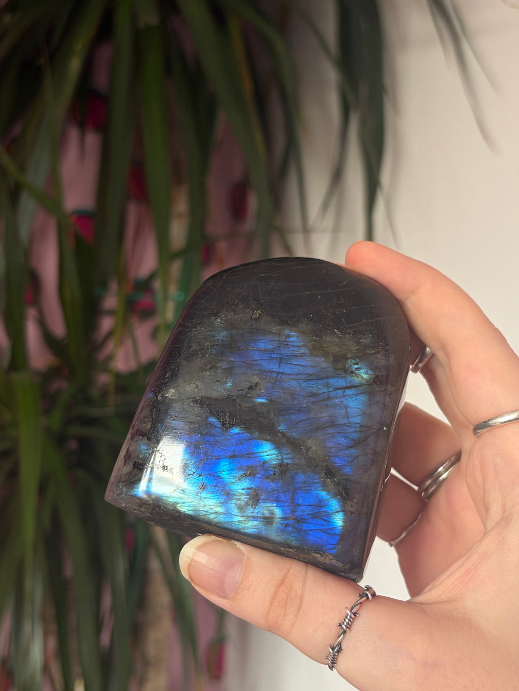 A Grade Labradorite Freeform