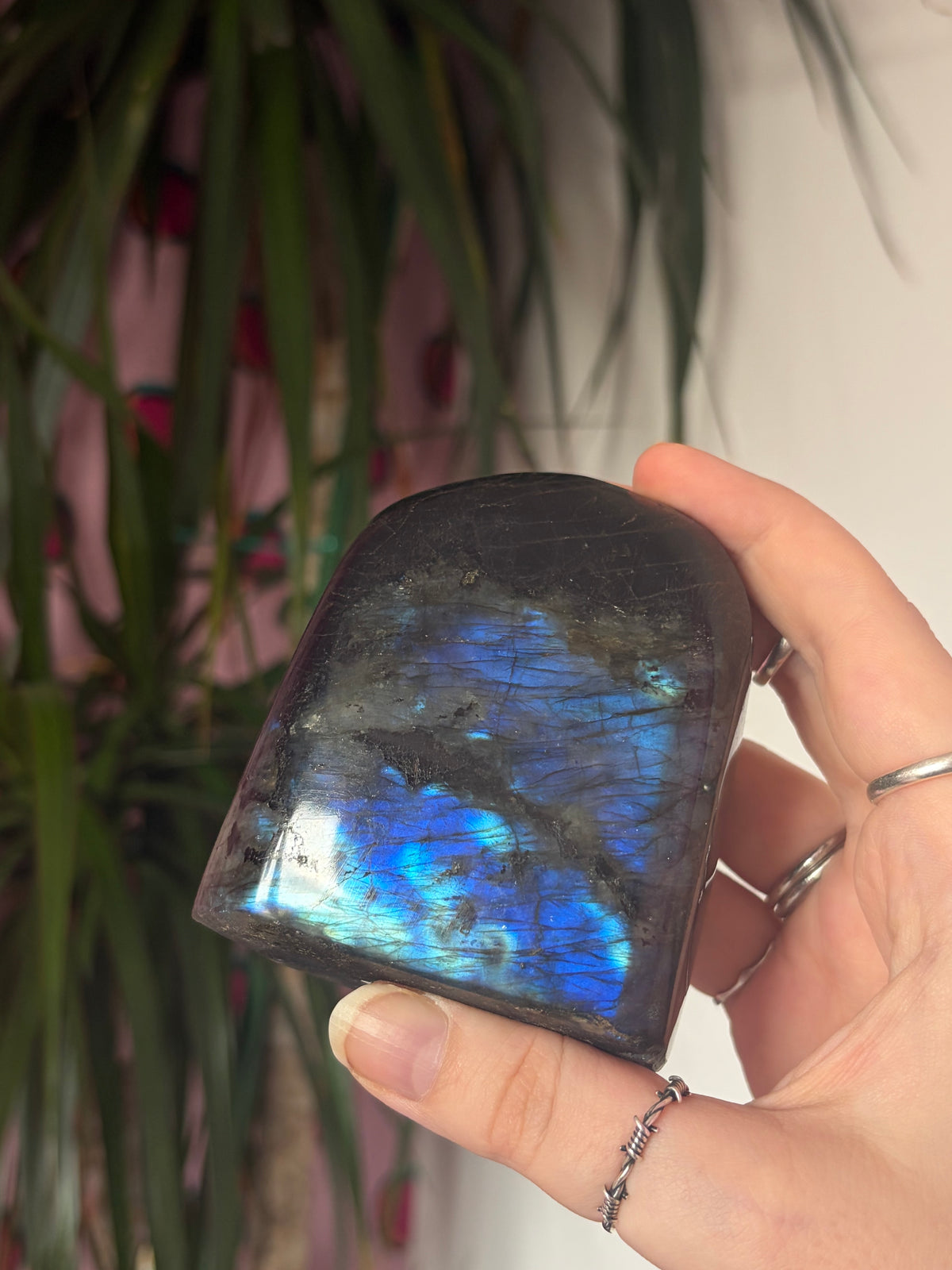 A Grade Labradorite Freeform