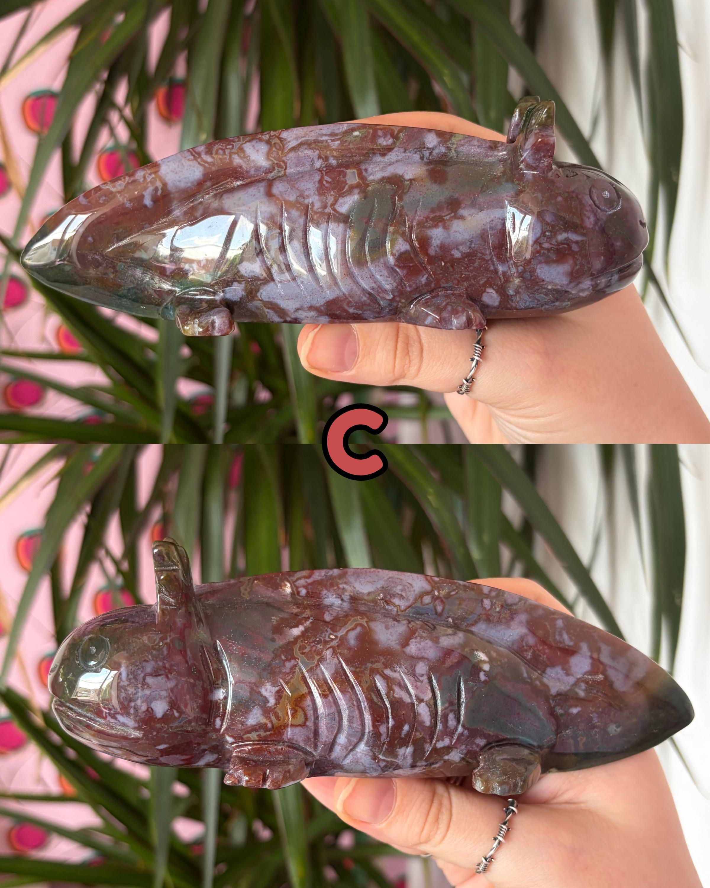Sea Jasper Axolotls