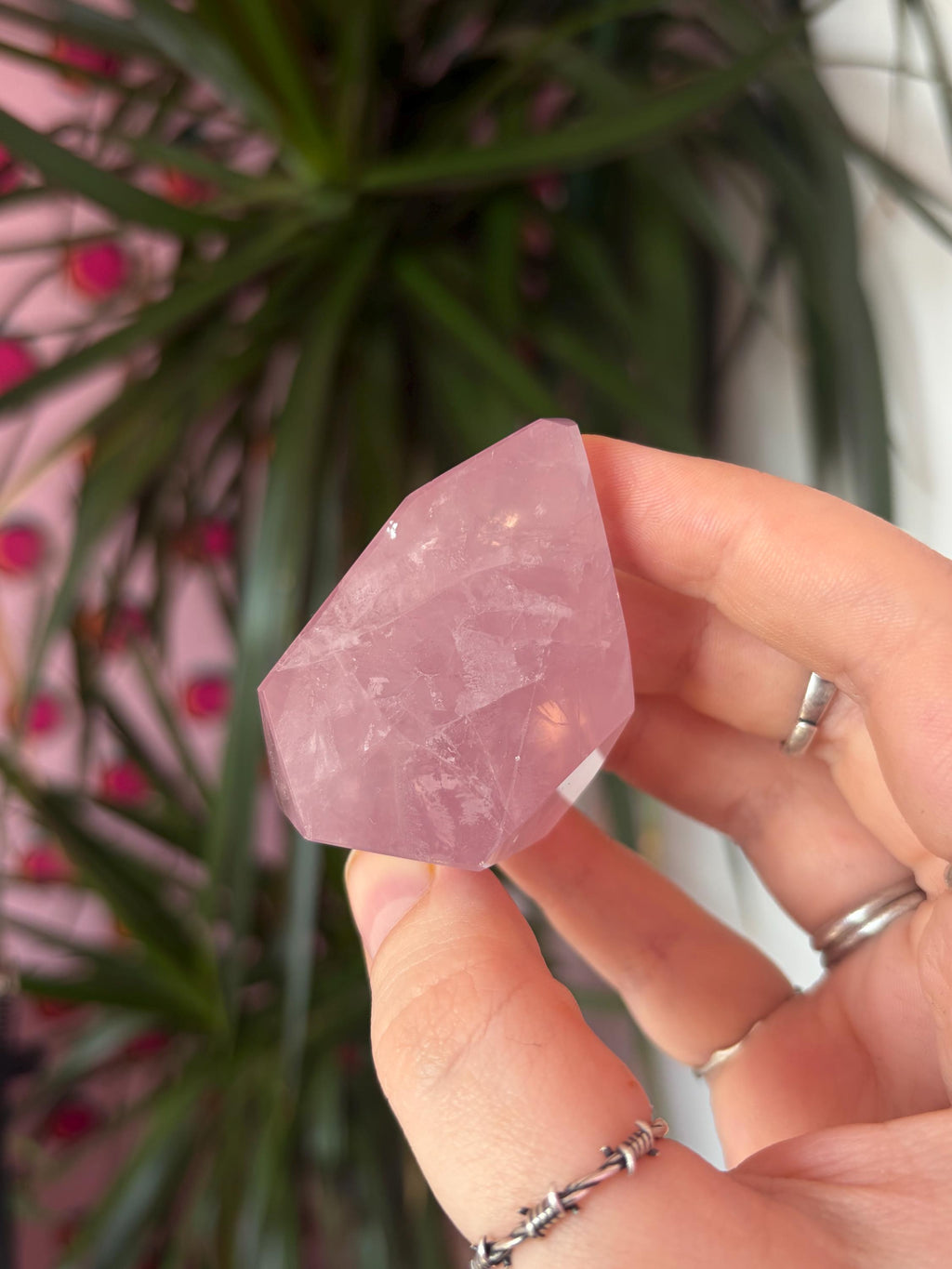 Small Rose Quartz Freeforms