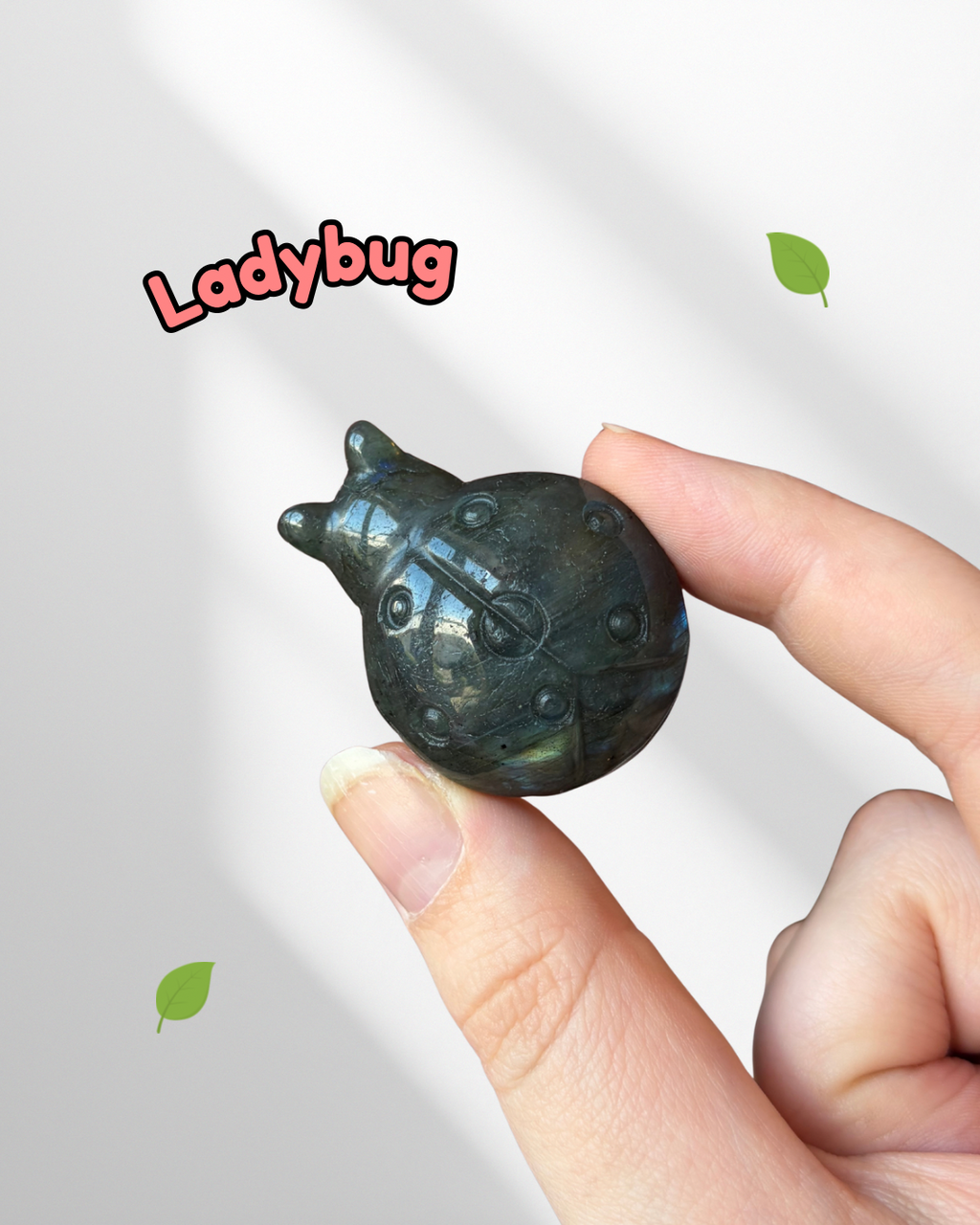 Labradorite ladybug