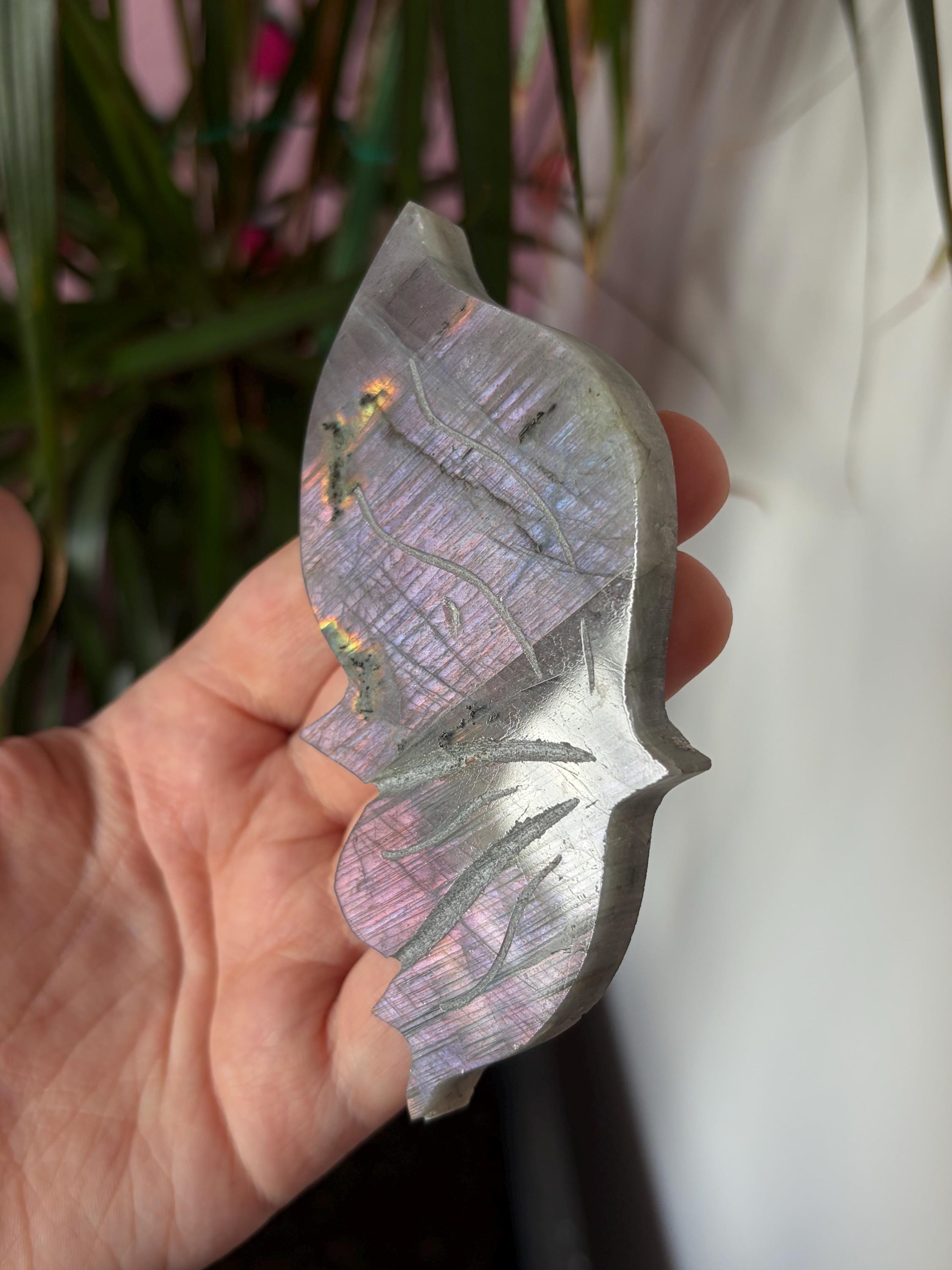 Labradorite Butterfly Wings with Custom Stand