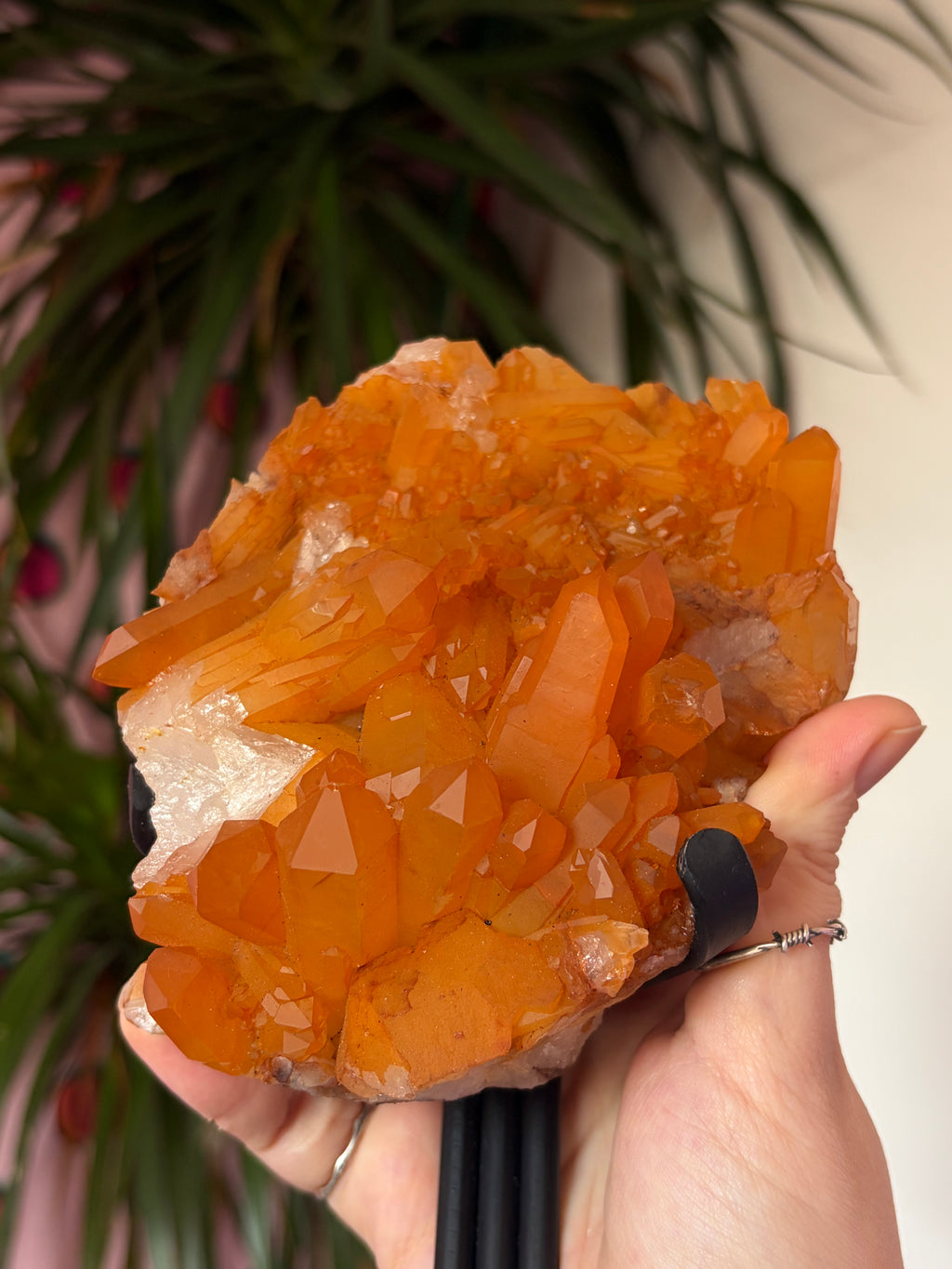 Tangerine Quartz on stand