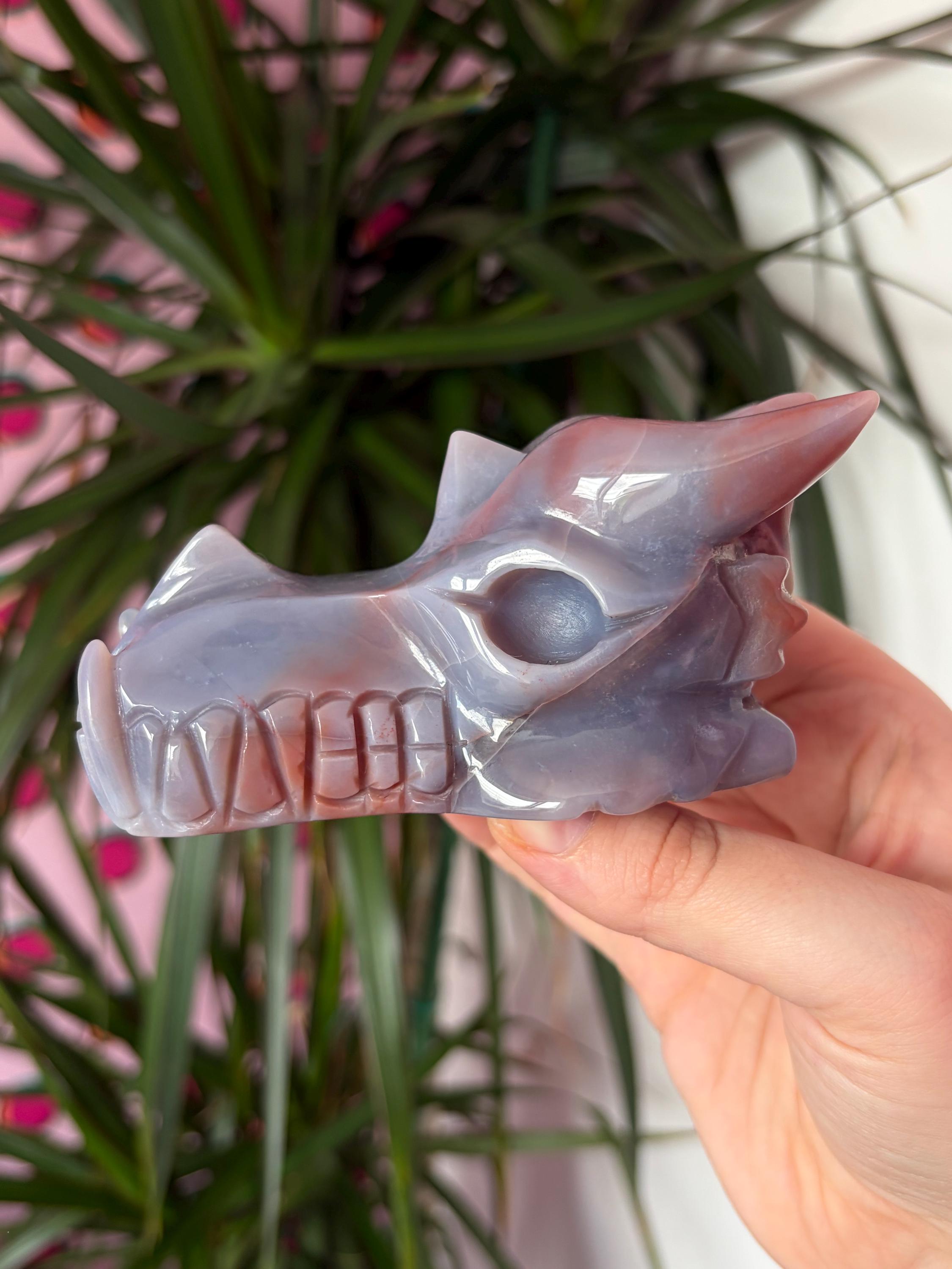 Sea Jasper Dragon Skull