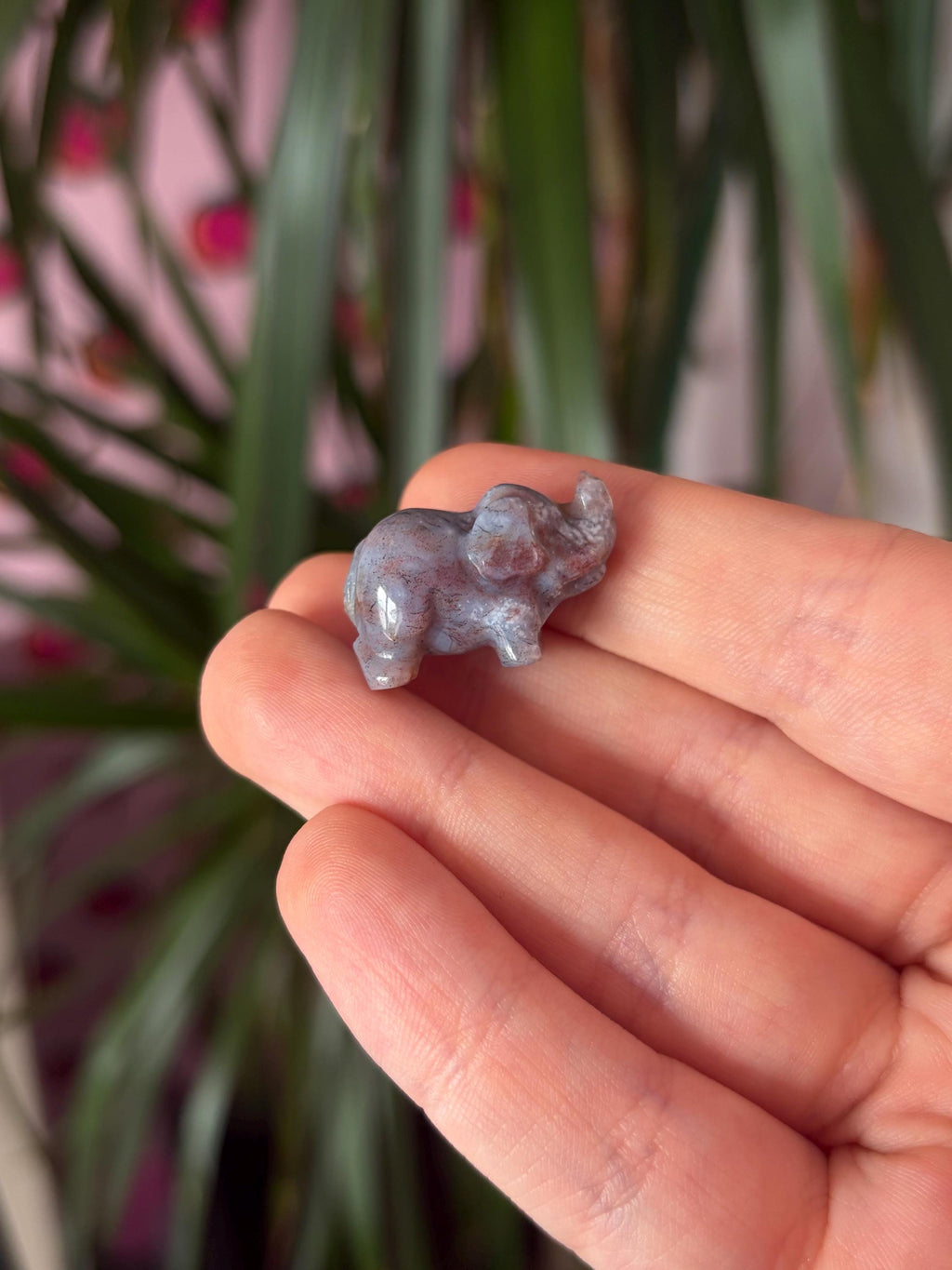Tiny Sea Jasper Elephants