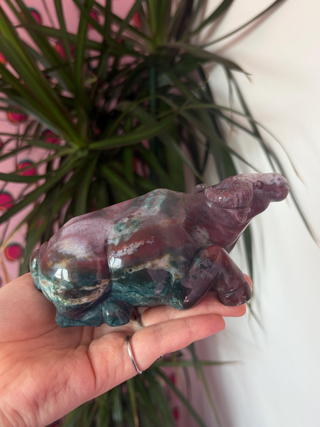 Sea Jasper Water Buffalo