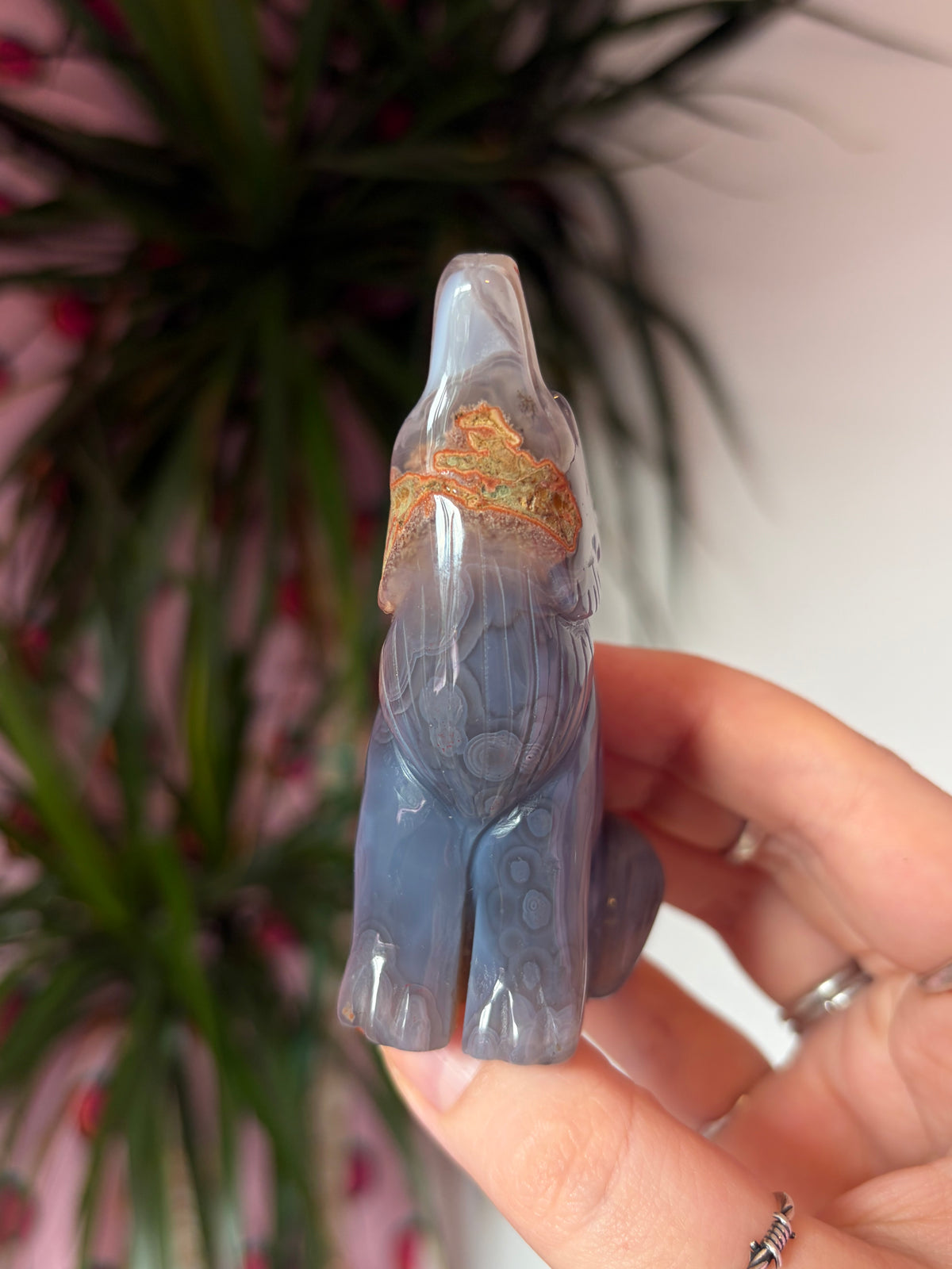 Mozambique Agate Howling Wolf