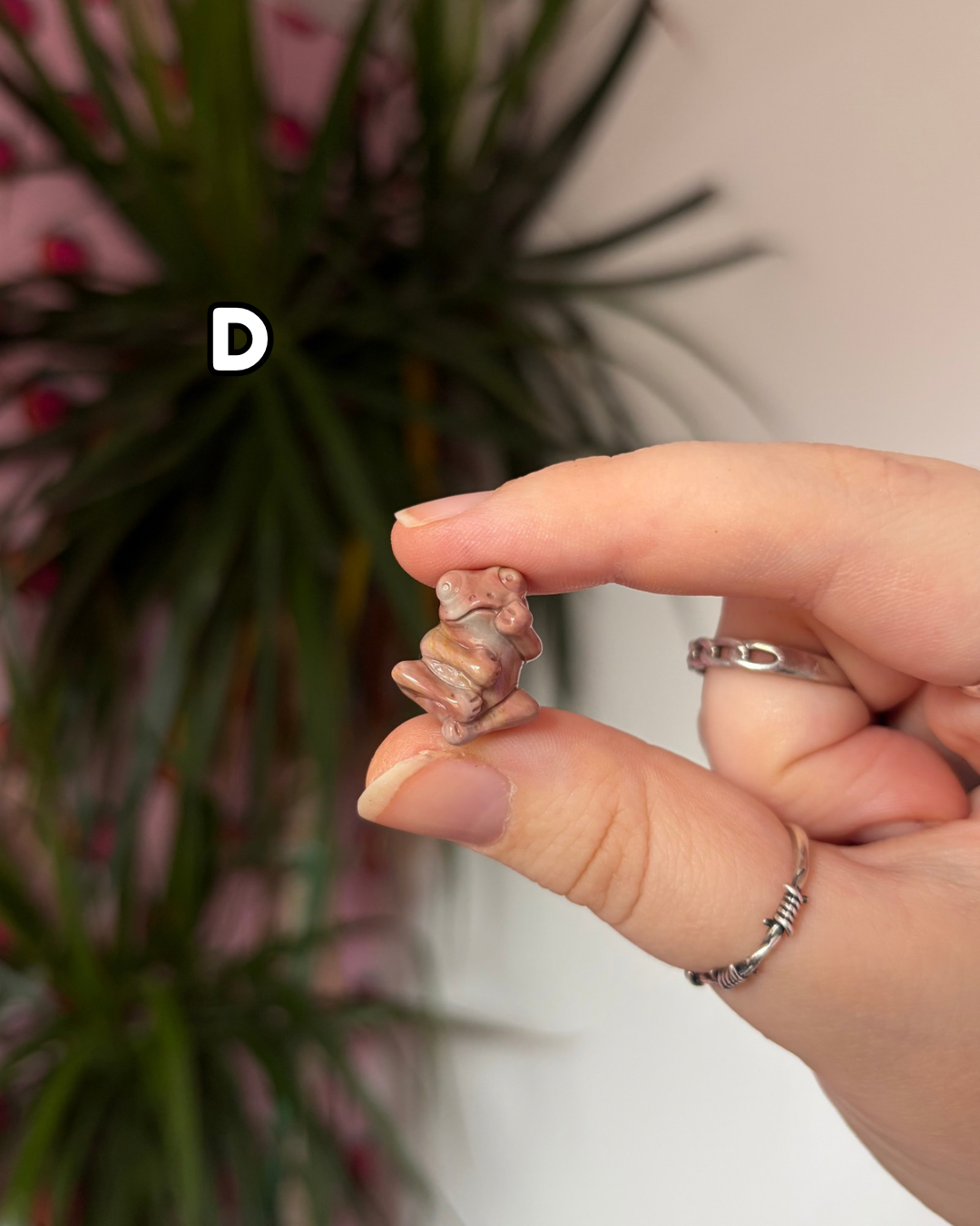 Tiny Alashan Agate Frogs