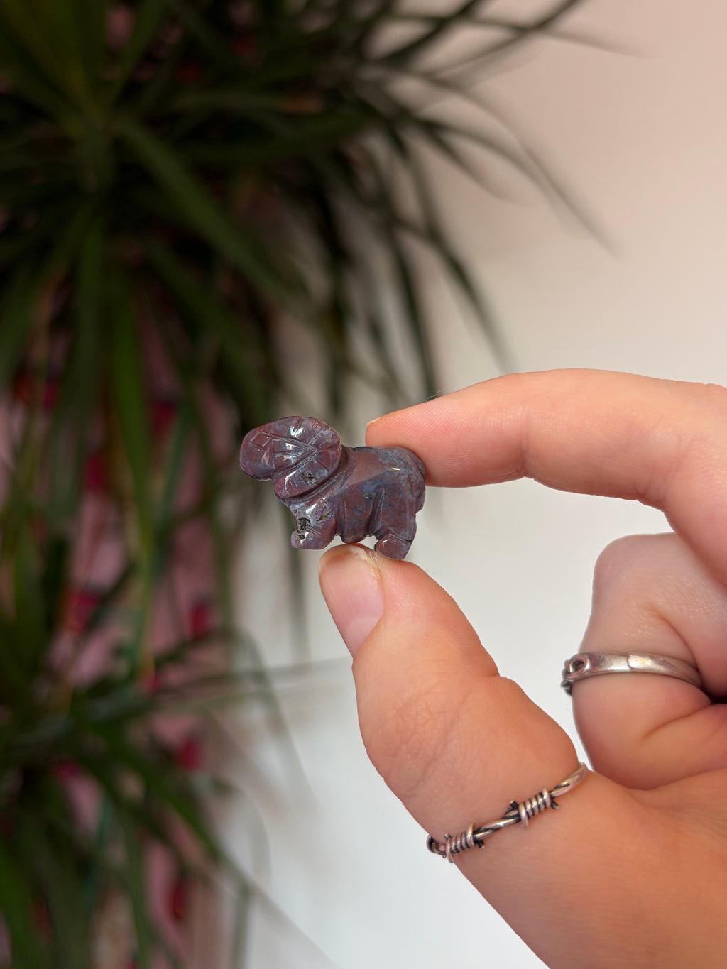 Mini Sea Jasper Rams