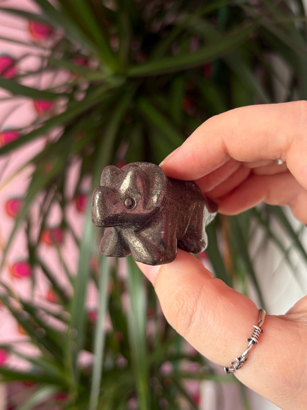 Pyrite Triceratops