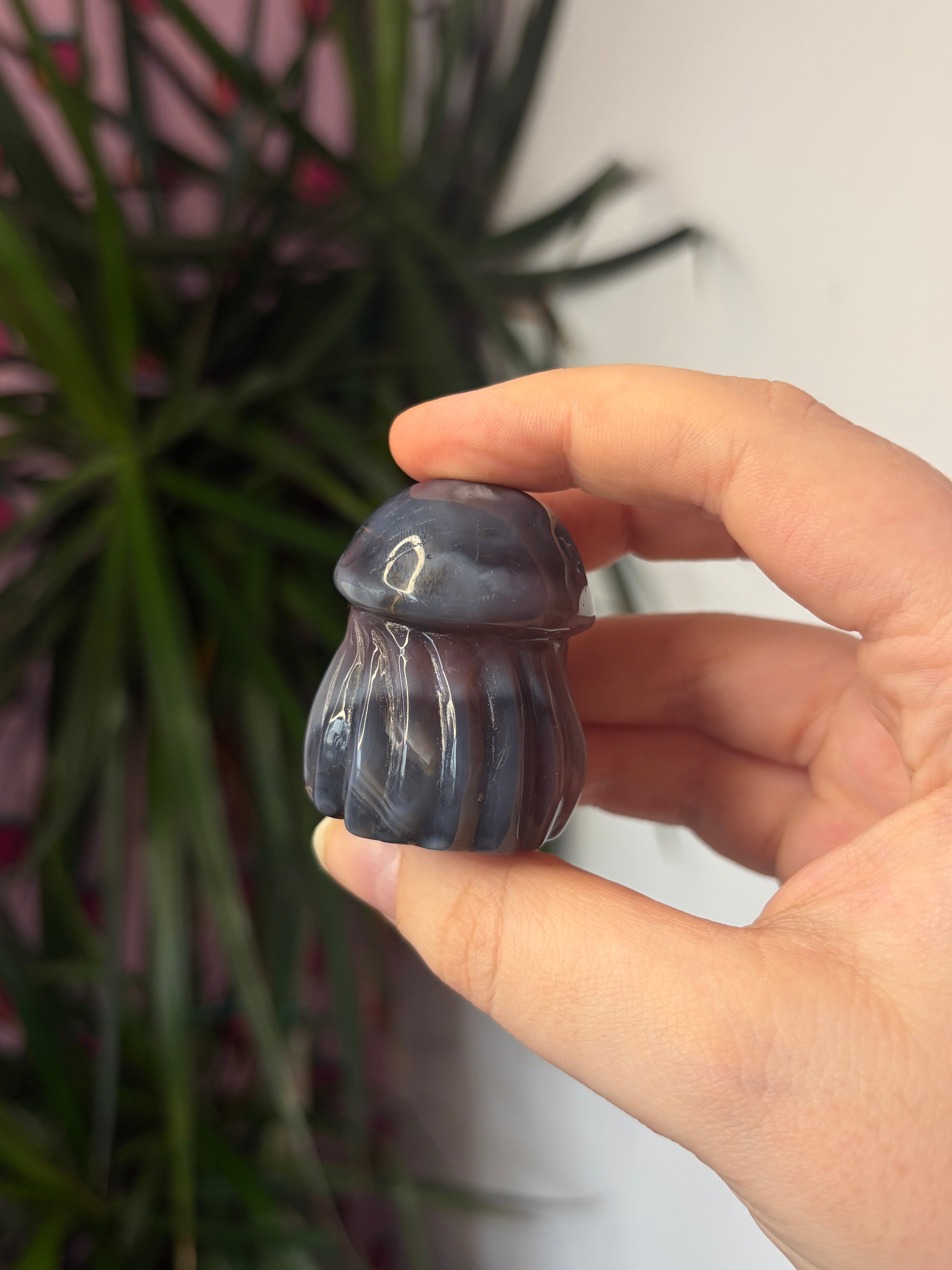 Mozambique Agate Jellyfish