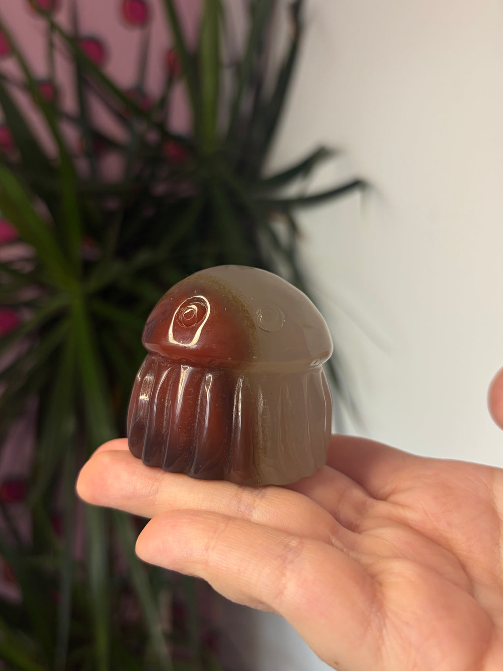 Mozambique Agate Jellyfish
