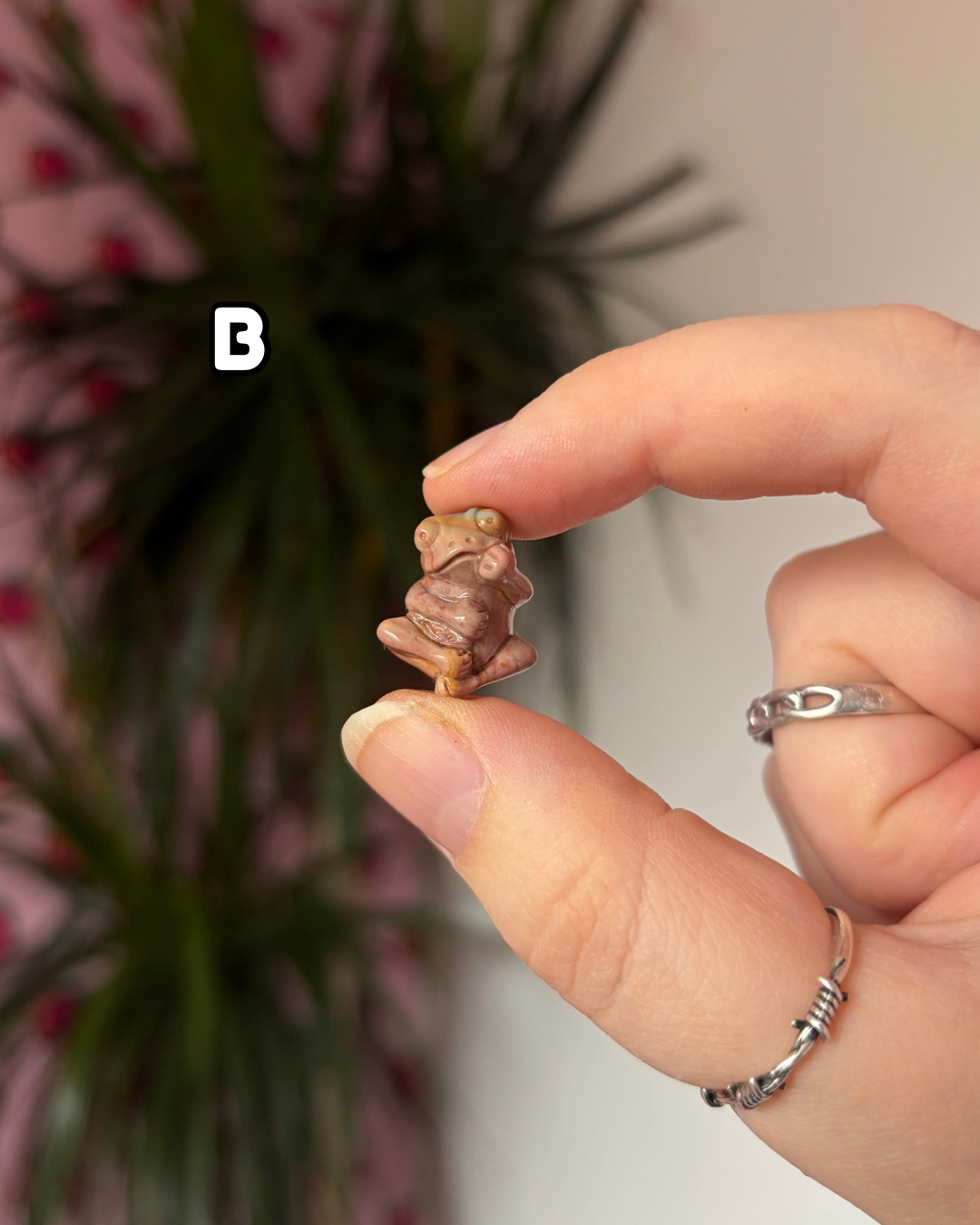Tiny Alashan Agate Frogs