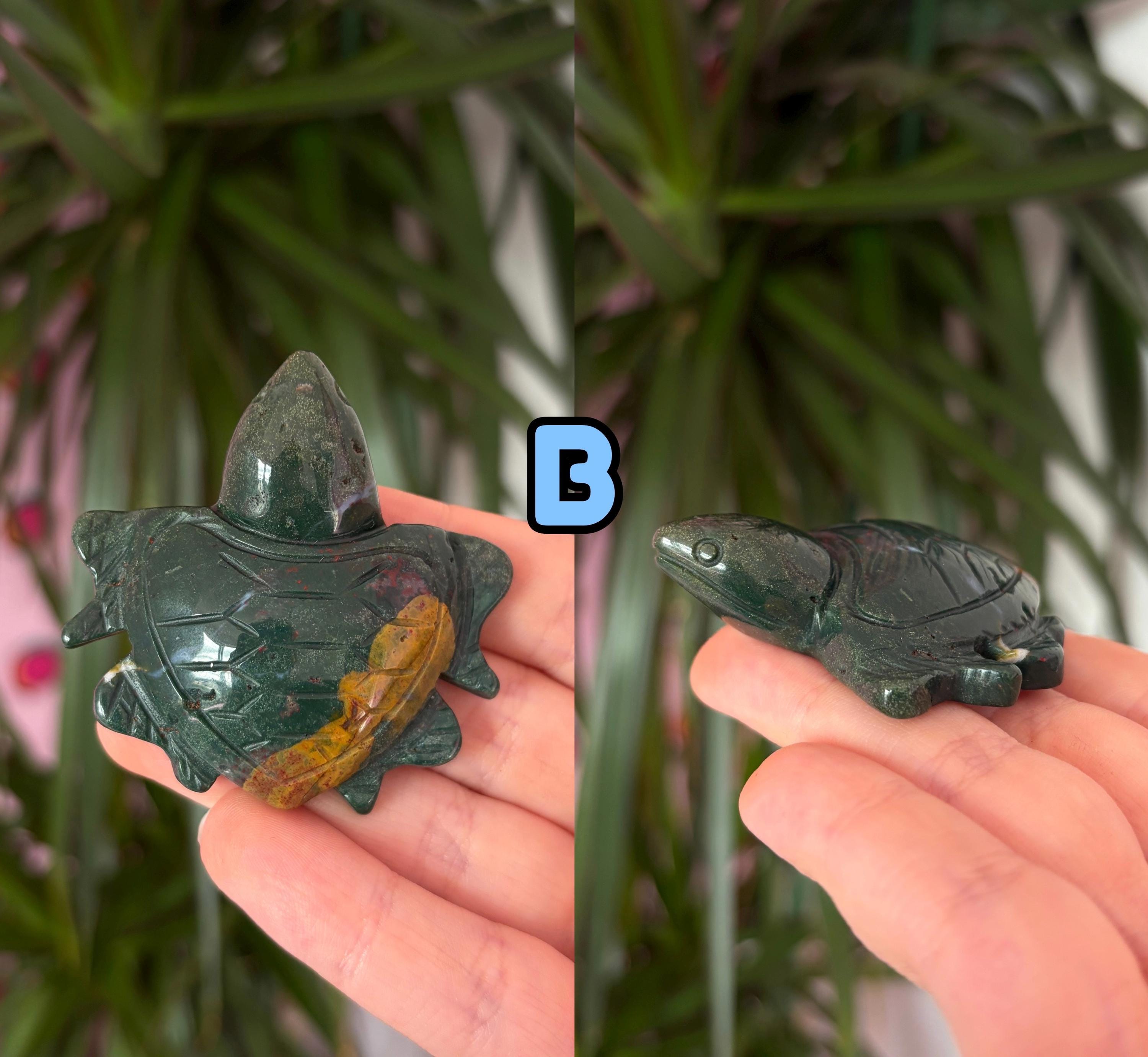 Sea jasper turtles