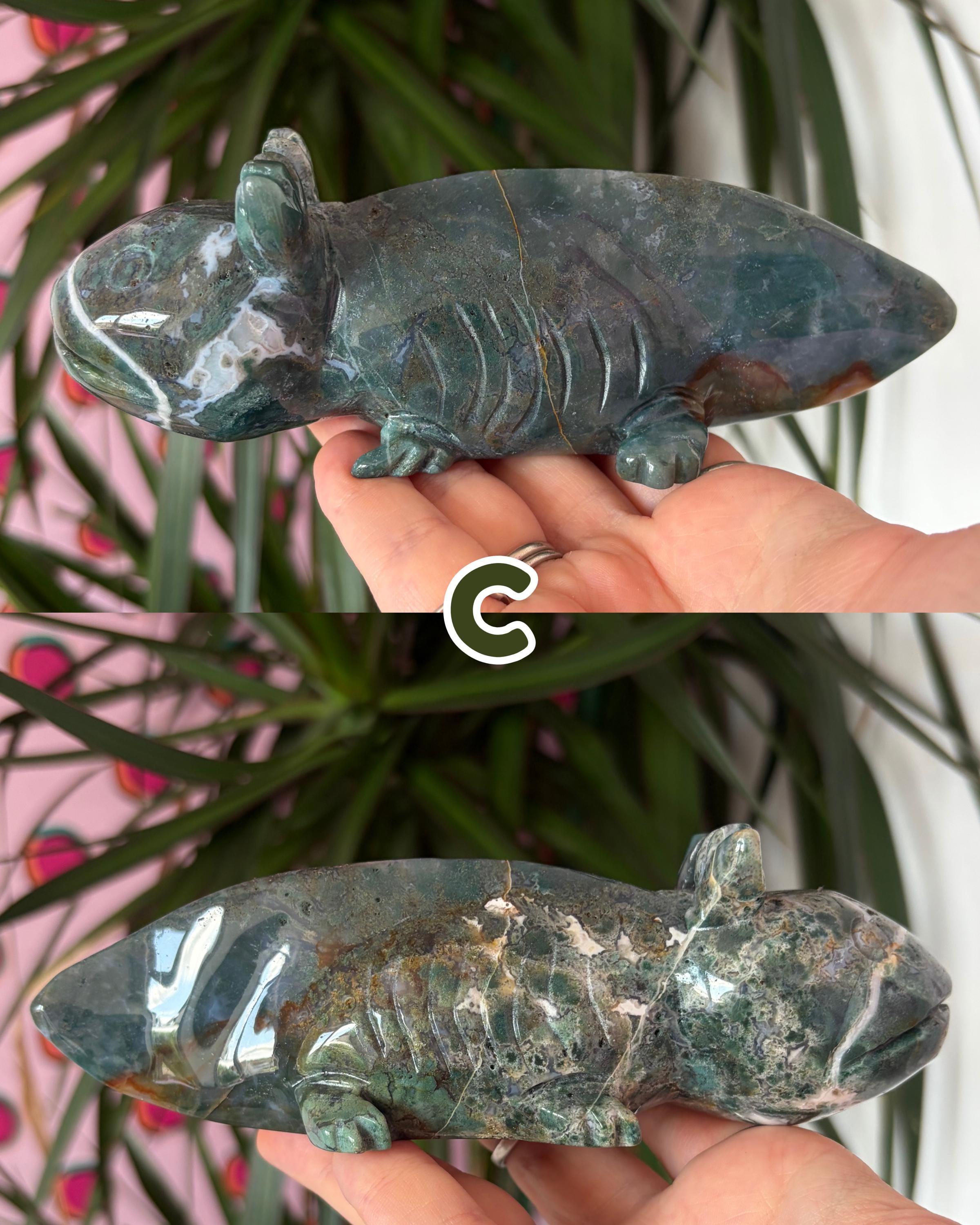 Moss Agate Axolotls