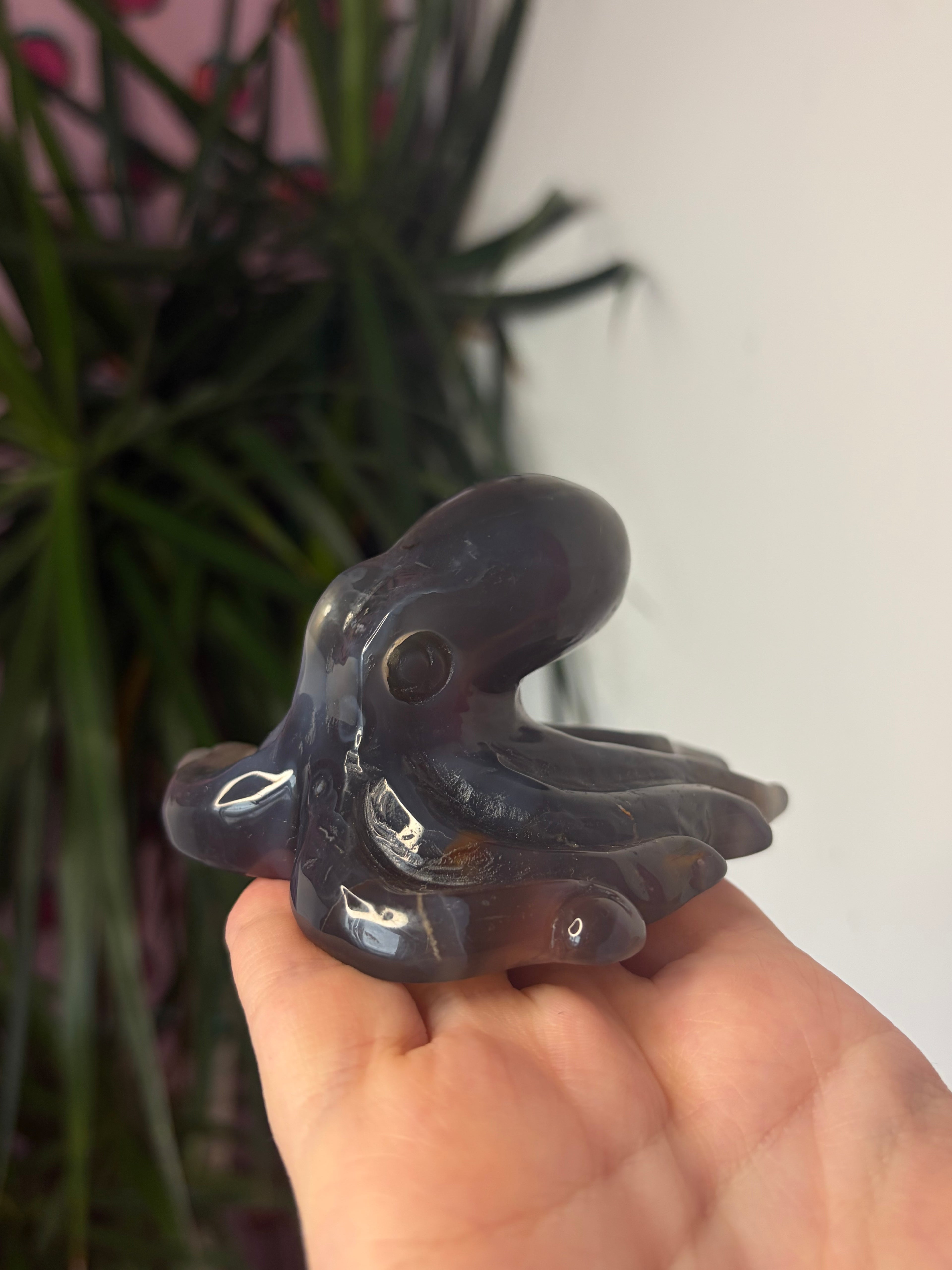 Mozambique Agate Octopus