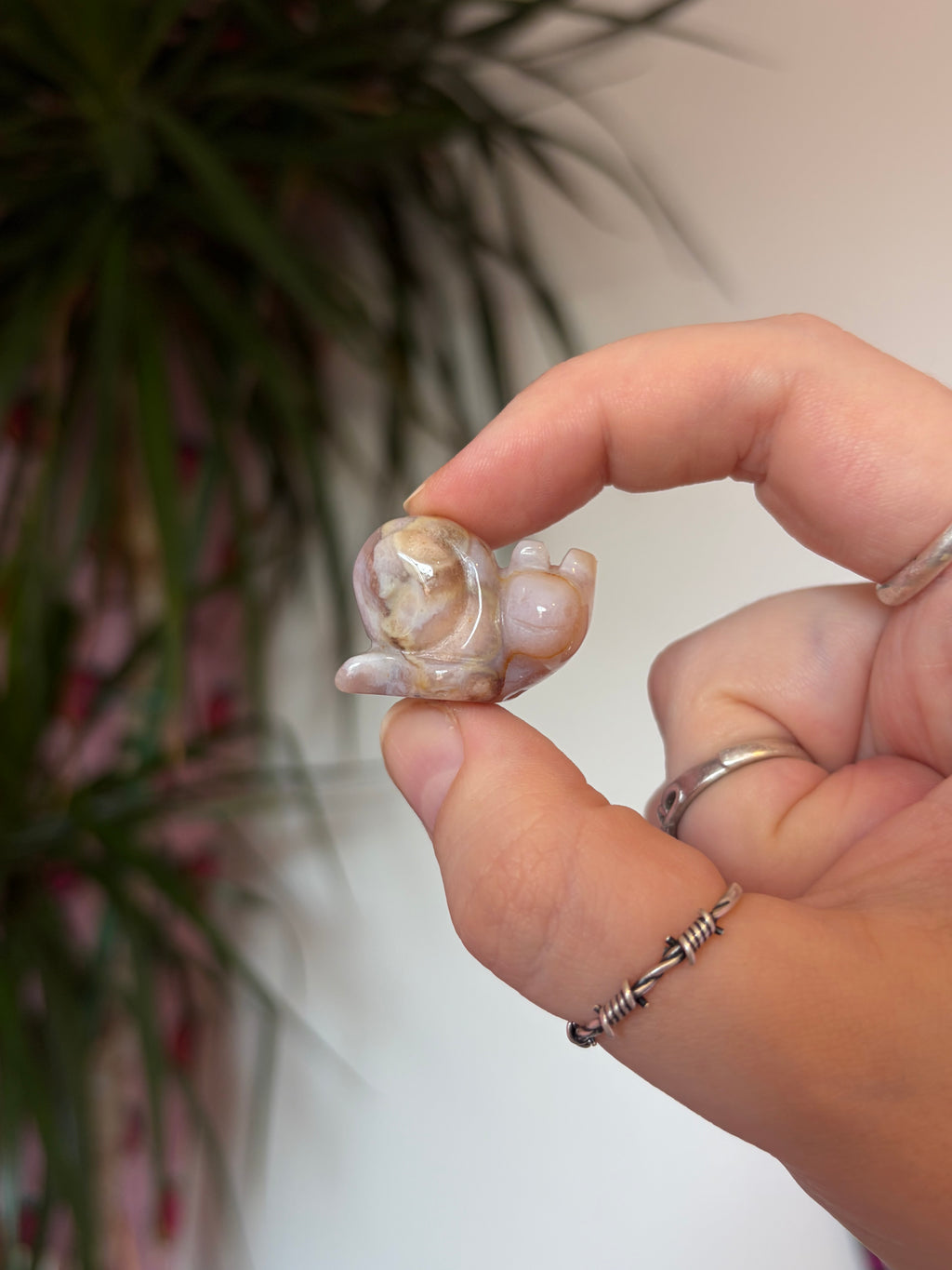 Mini Flower Agate Snails