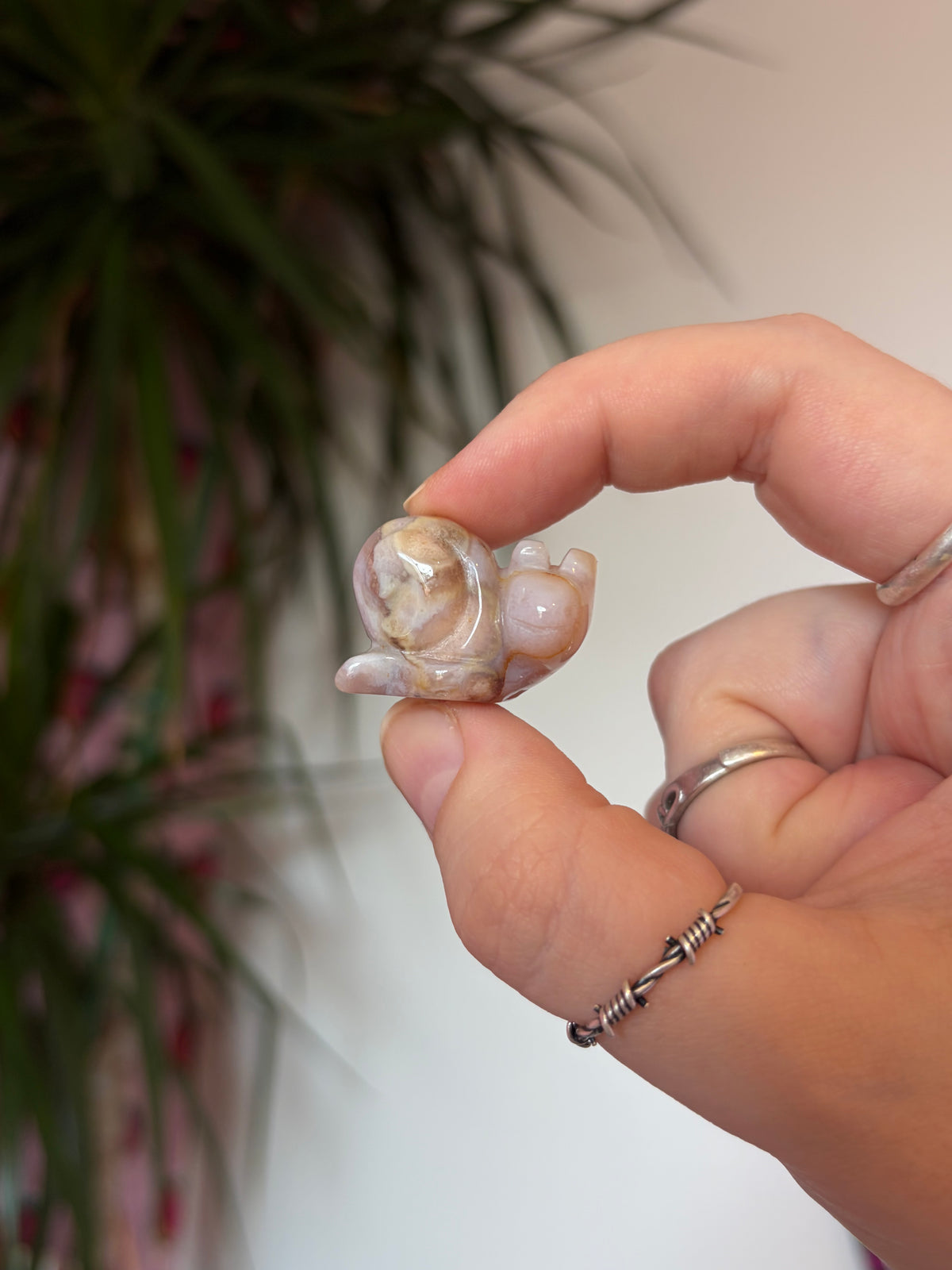 Mini Flower Agate Snails