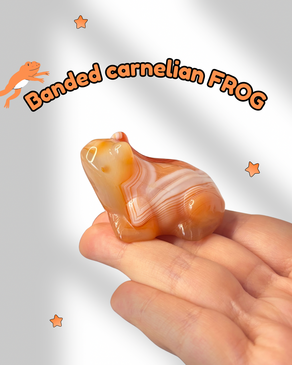 Banded Carnelian Frog