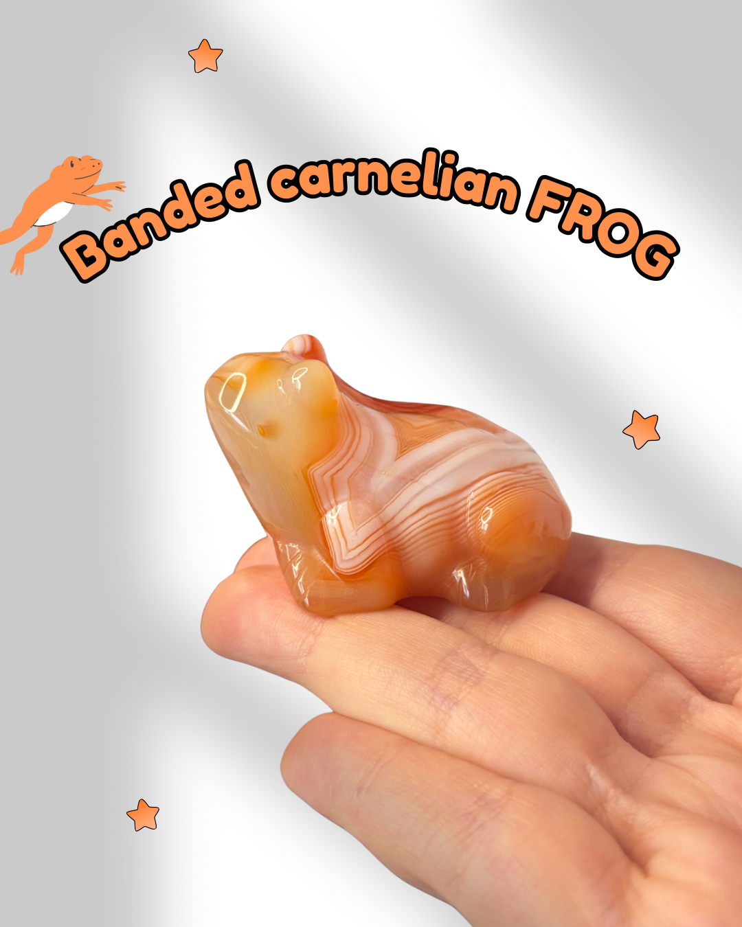 Banded Carnelian Frog