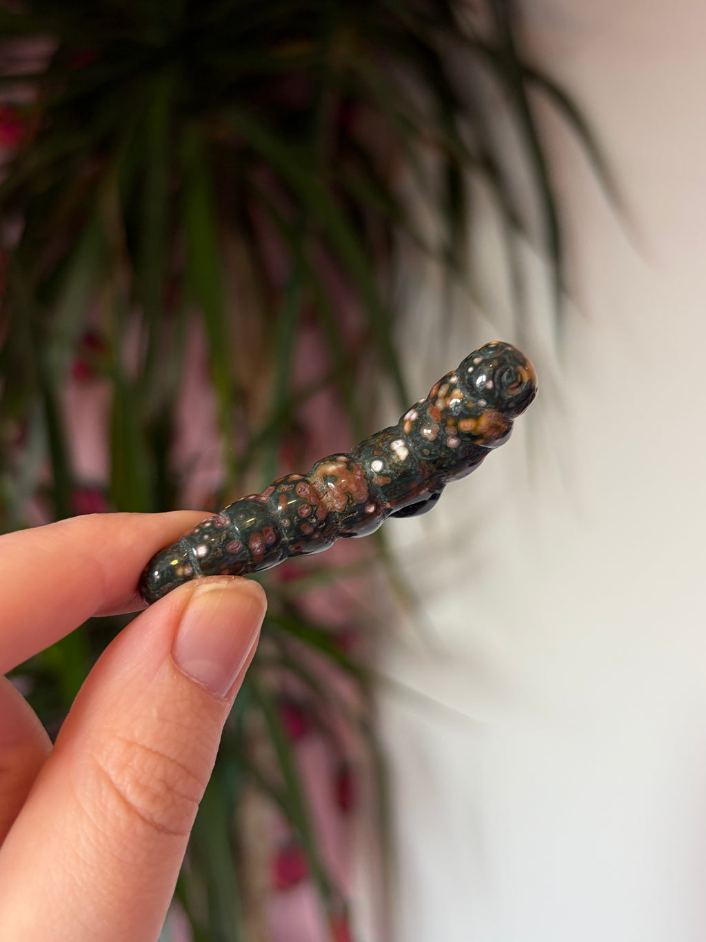 Ocean Jasper caterpillar