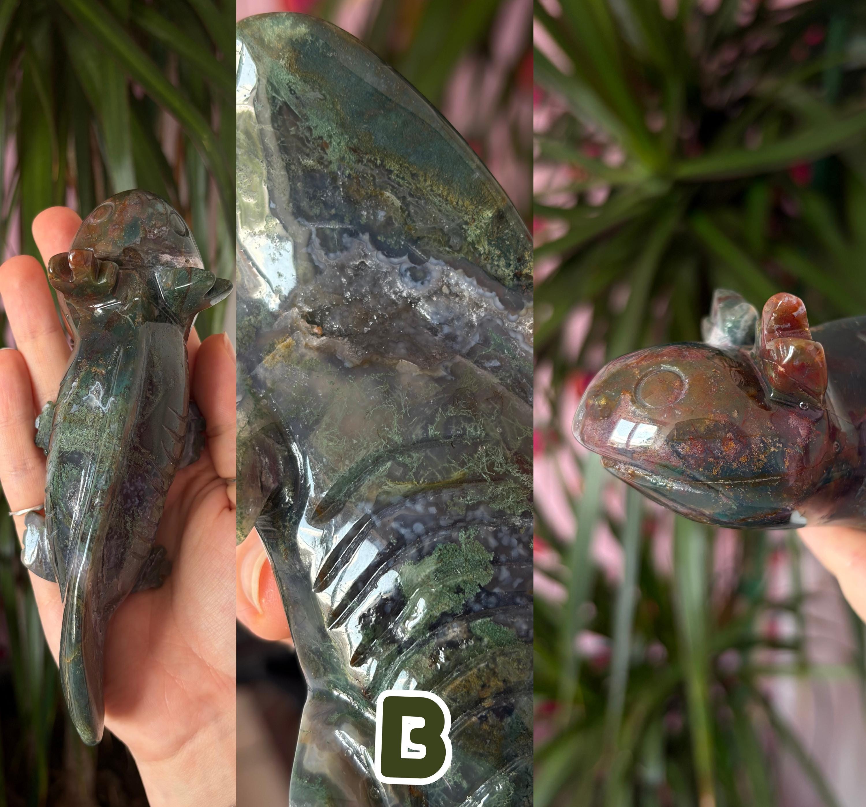 Moss Agate Axolotls