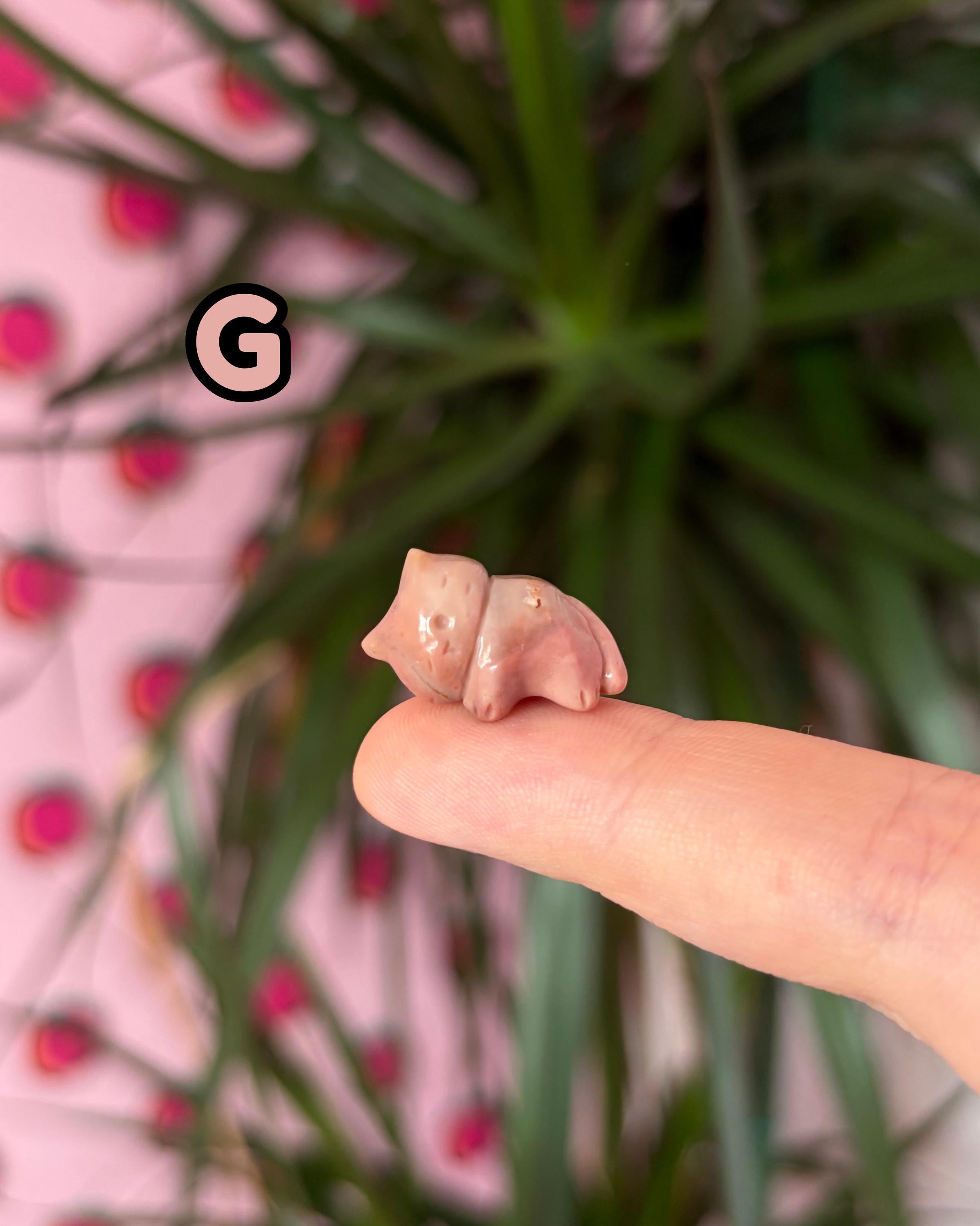 TINY Alashan Agate Kittens