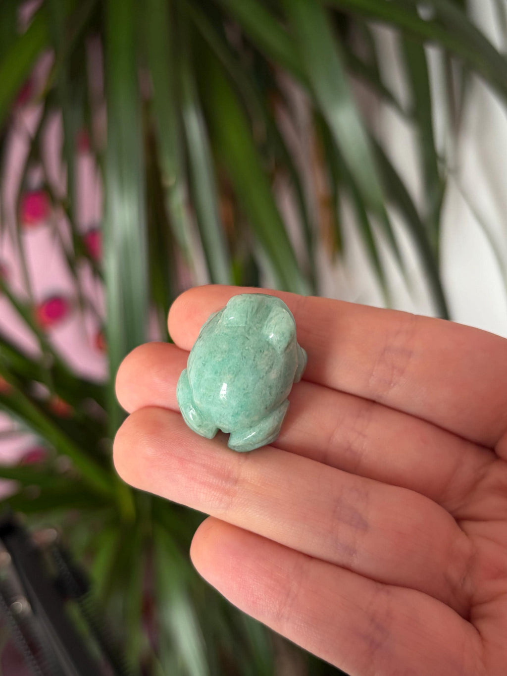 Mini Amazonite Frogs