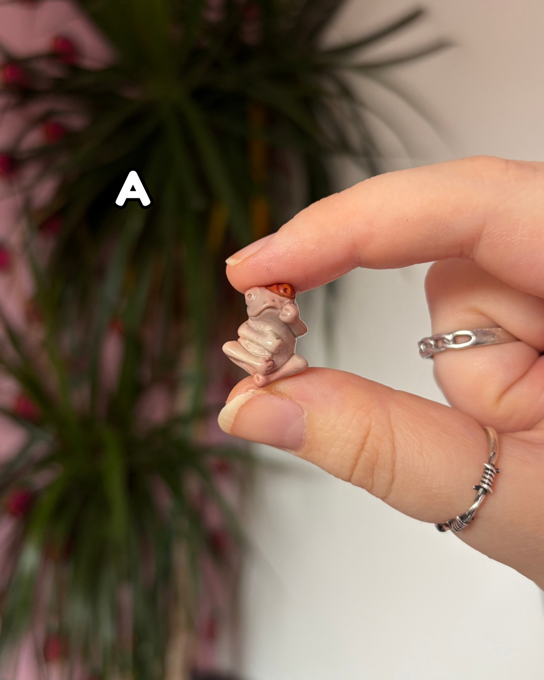 Tiny Alashan Agate Frogs