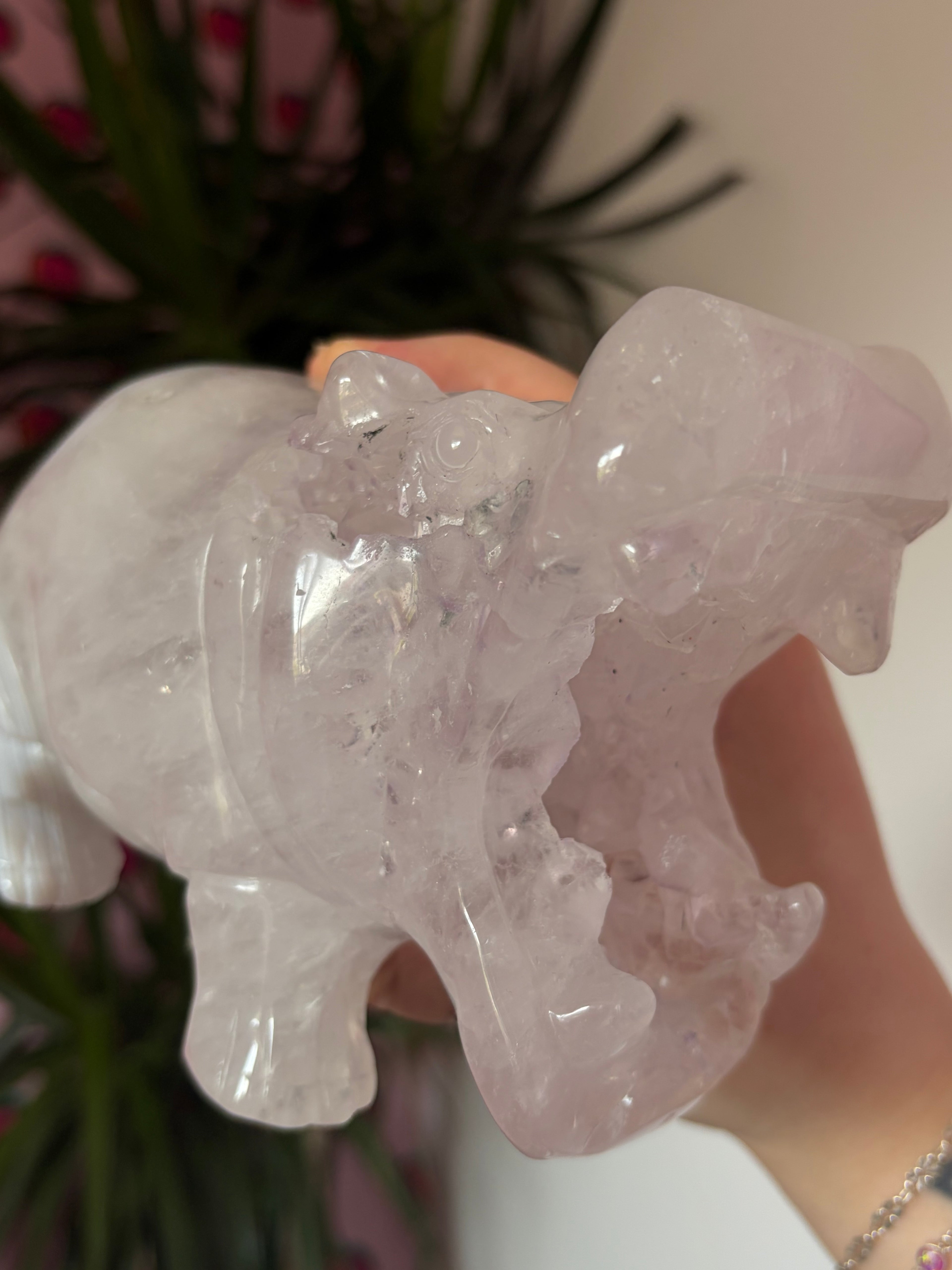 Druzy Agate Hippo