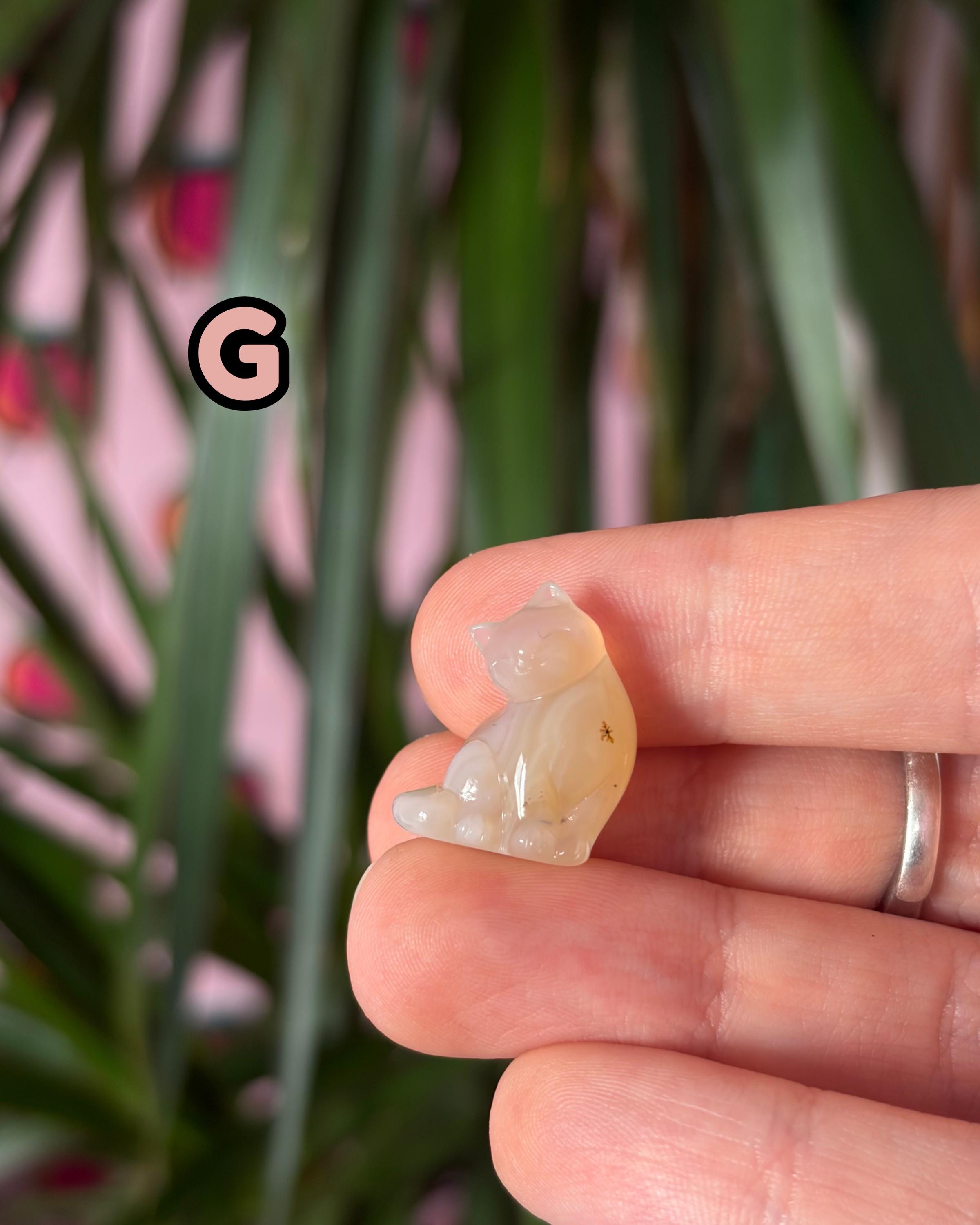 Tiny Alashan Agate Cats