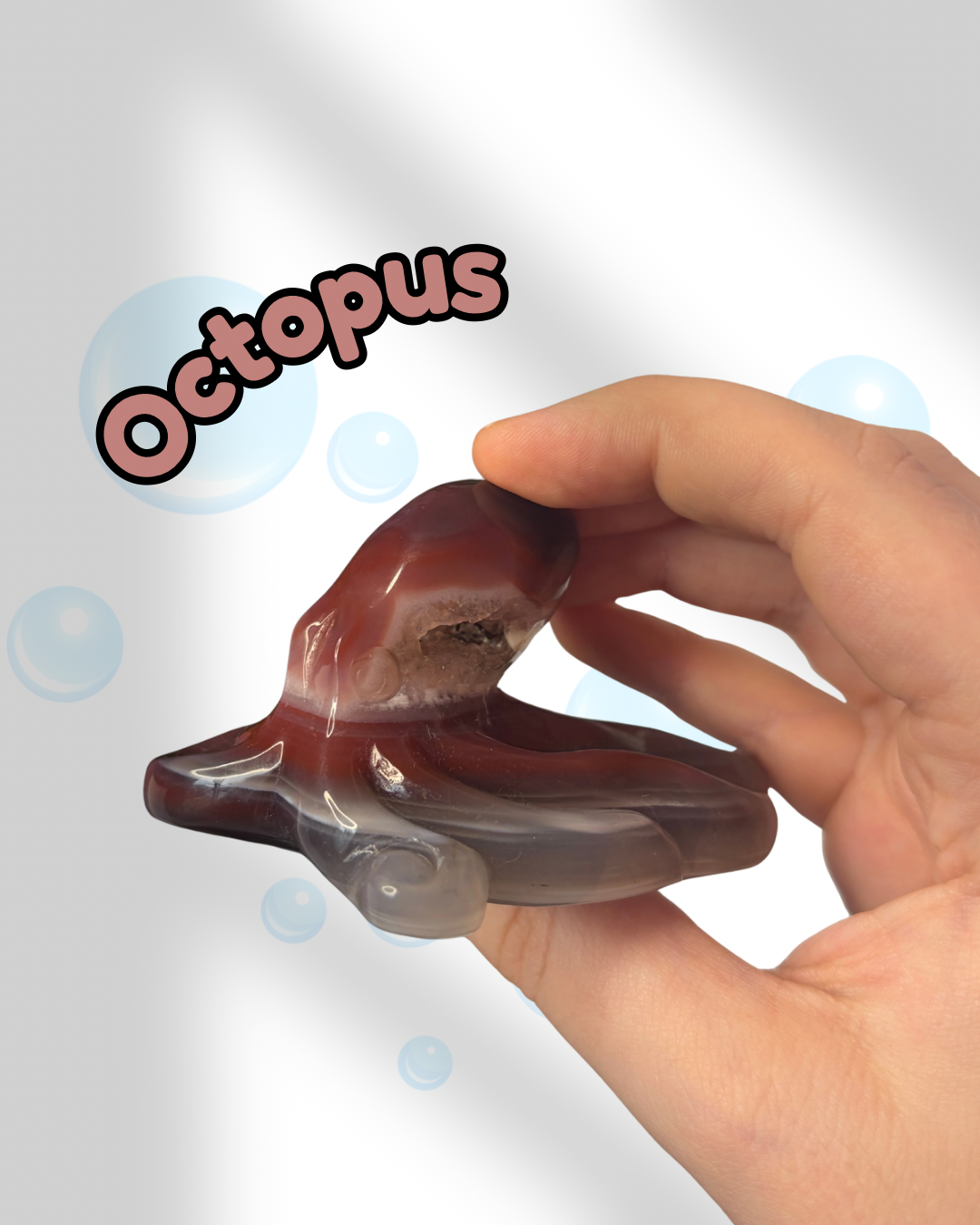 Mozambique Agate Octopus