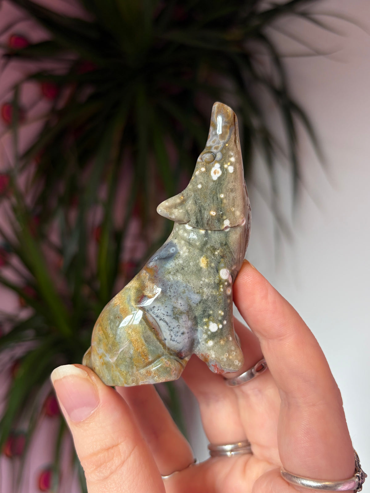 Ocean Jasper Howling Wolf