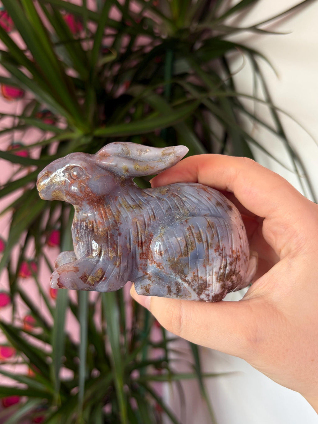 Sea Jasper Rabbit
