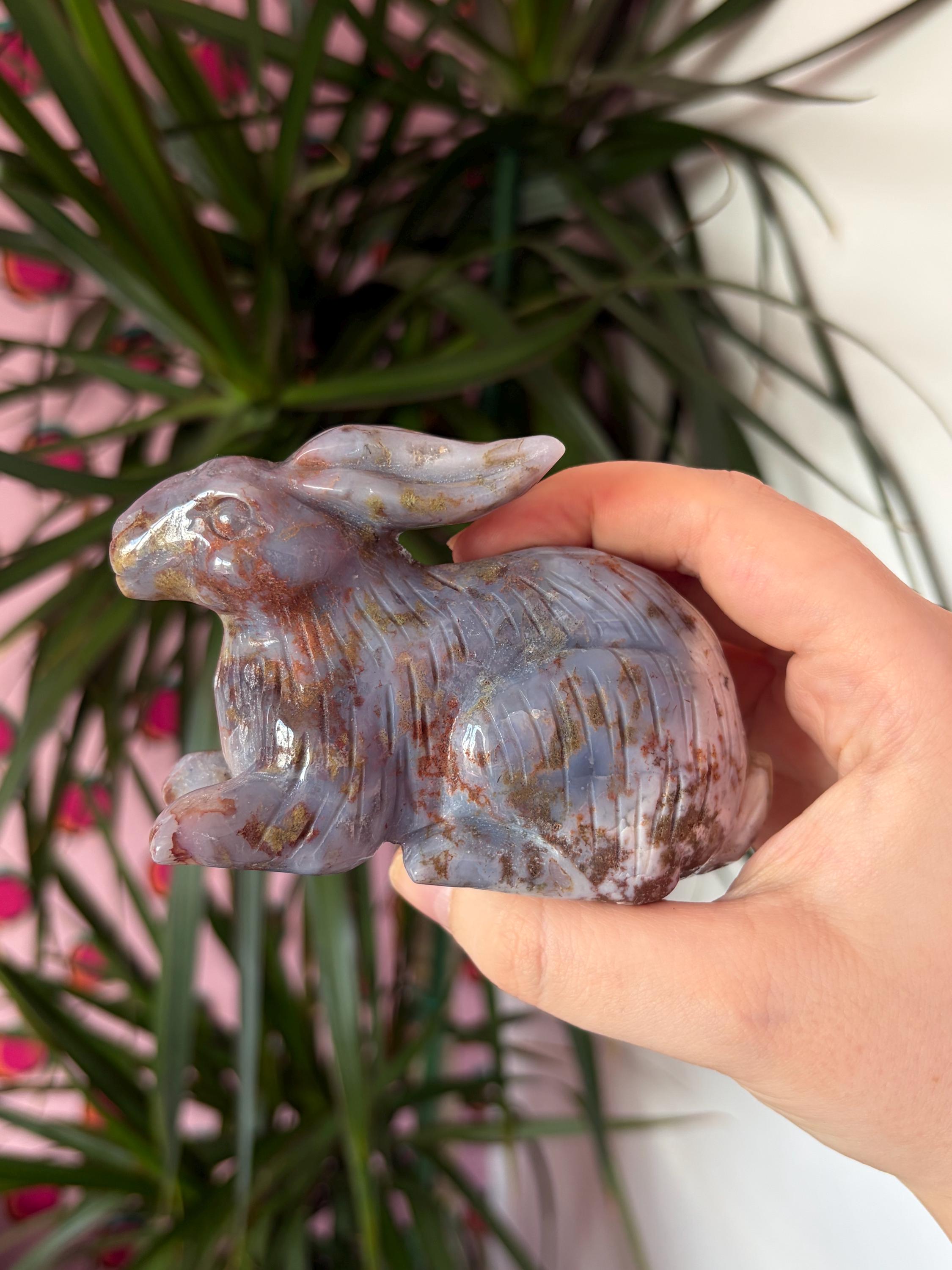 Sea Jasper Rabbit