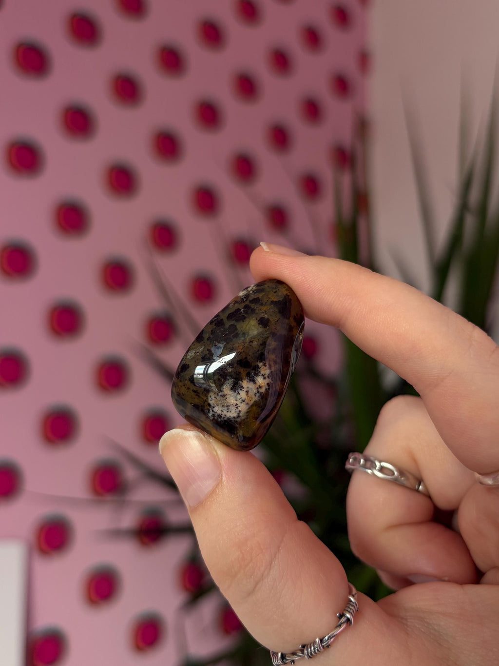 Cheetah Agate Tumblestones