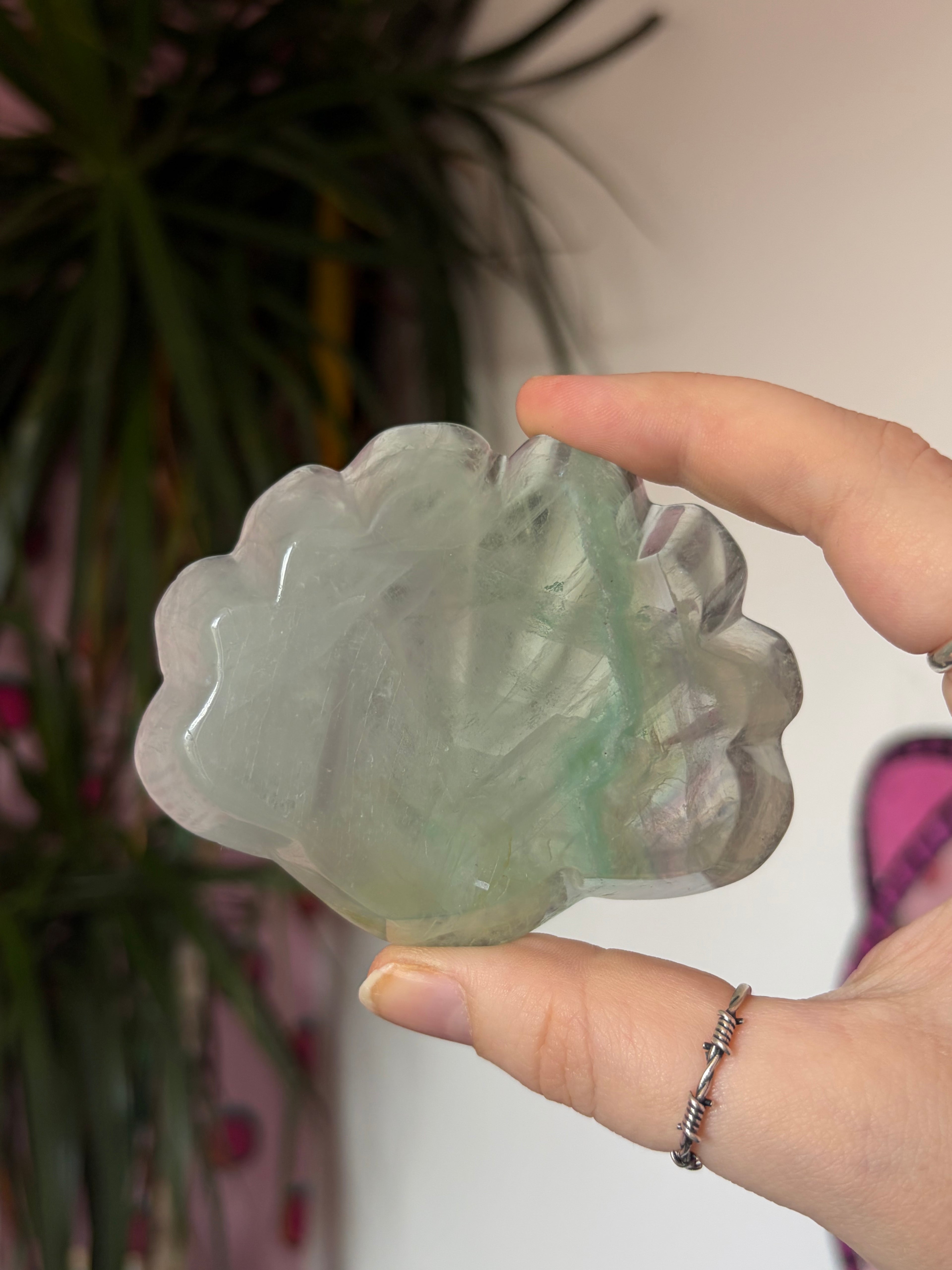Fluorite Sea Shell Bowl/Trinket Dish