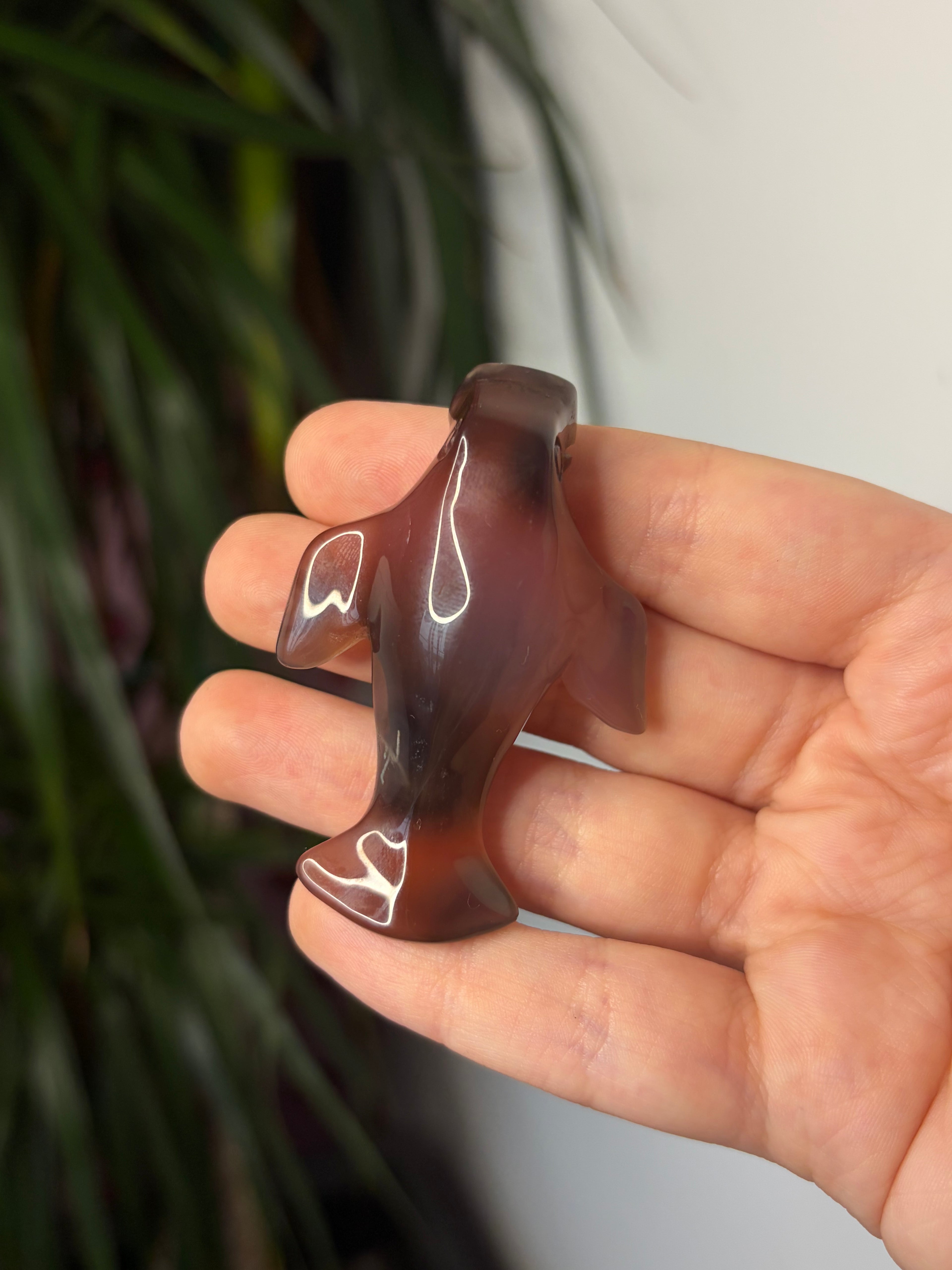 Mozambique Agate Manatee
