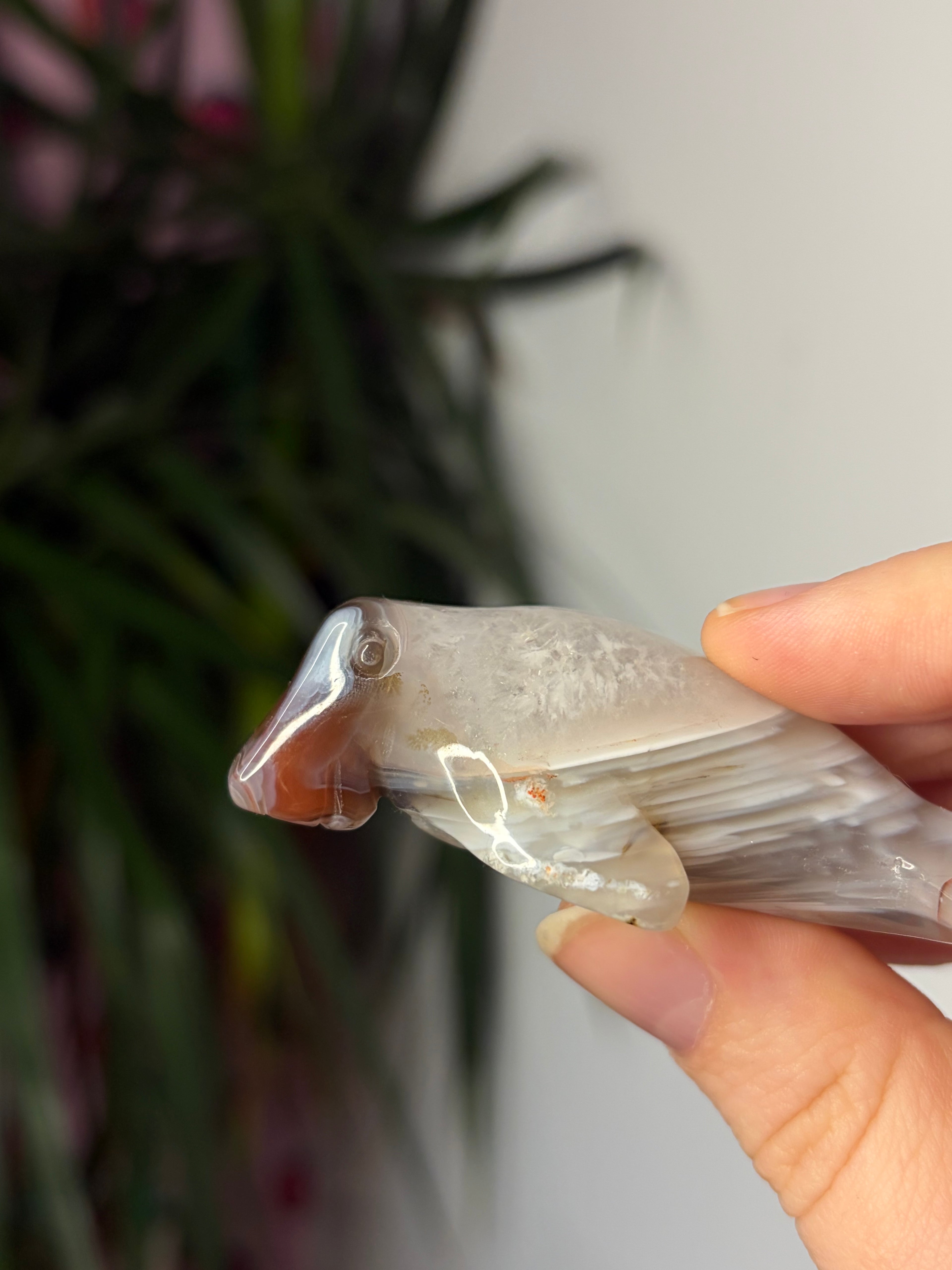 Mozambique Agate Manatee