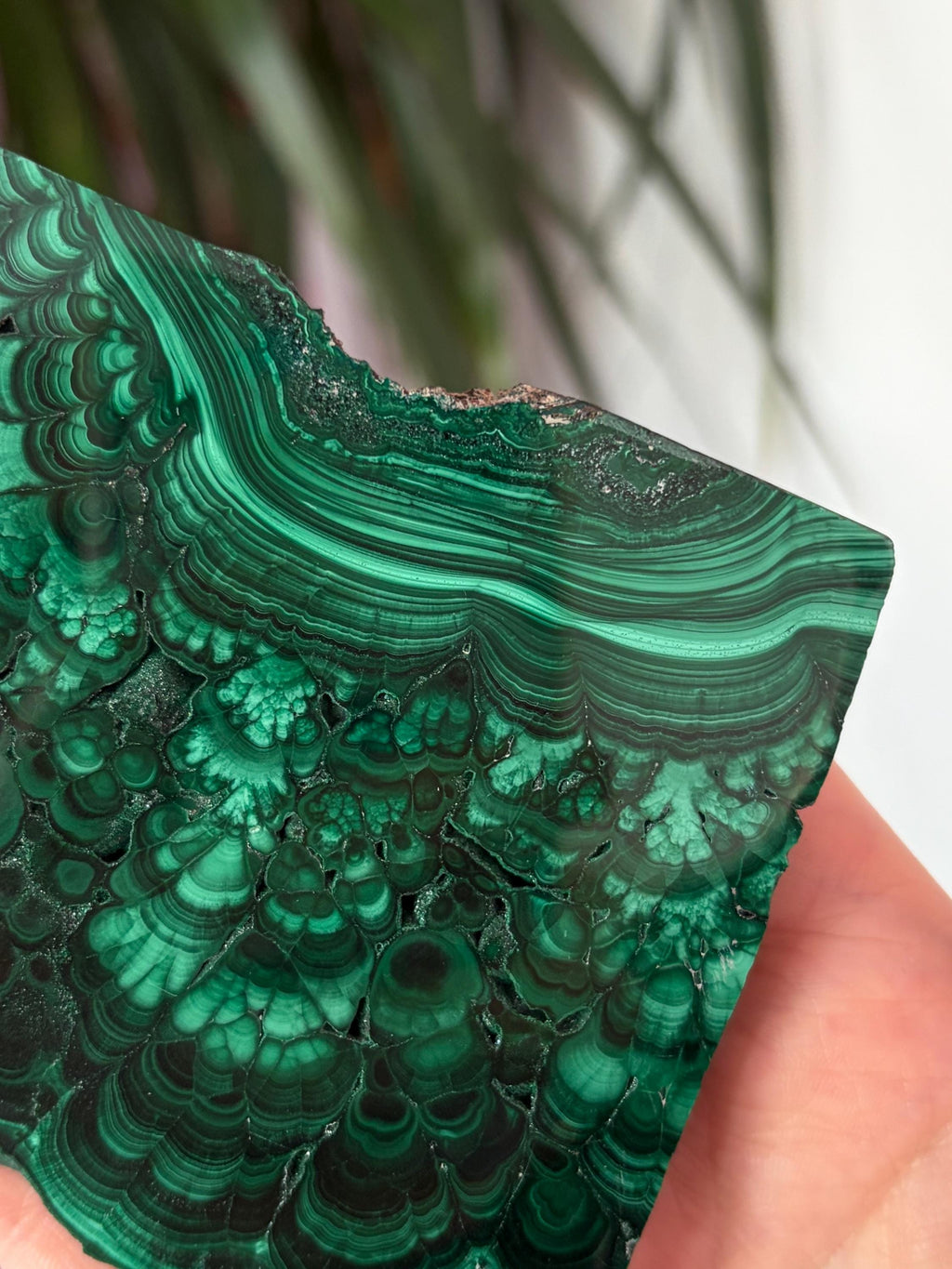 Dark Malachite Slab