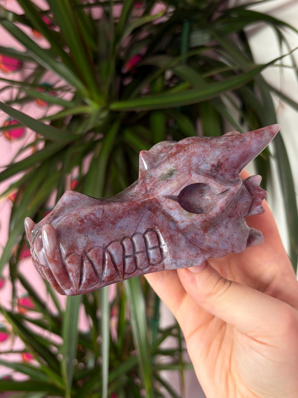 Sea Jasper Dragon Skull