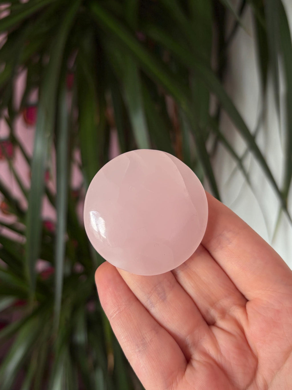 Mangano Calcite Button Palmstone
