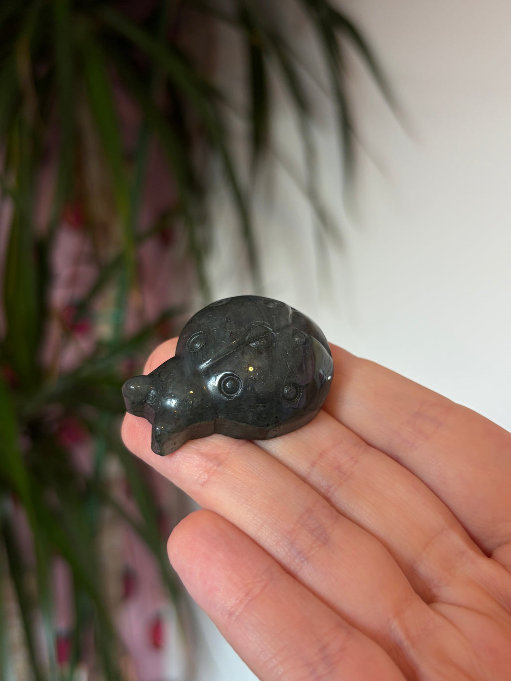 Labradorite ladybug