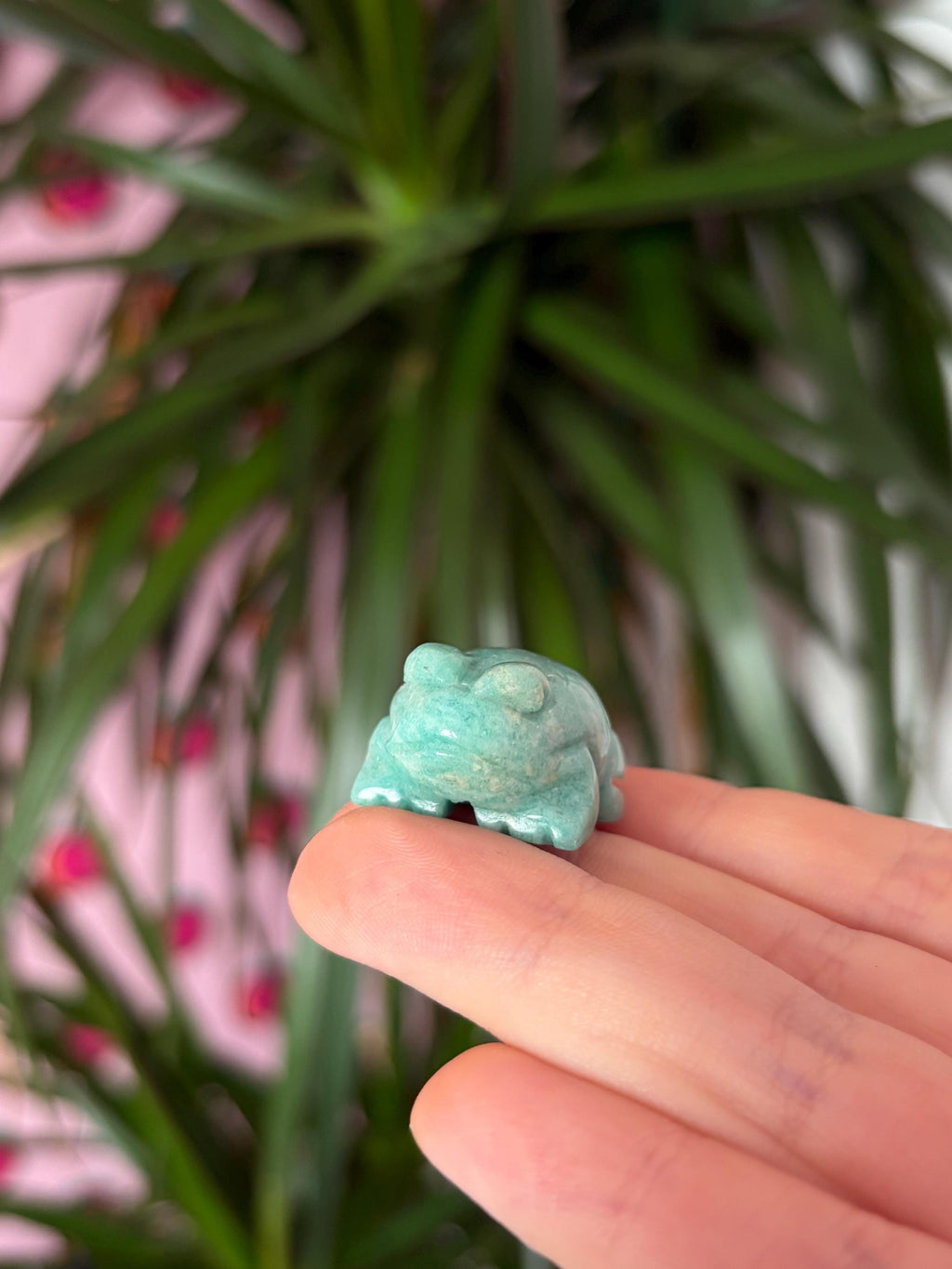 Mini Amazonite Frogs